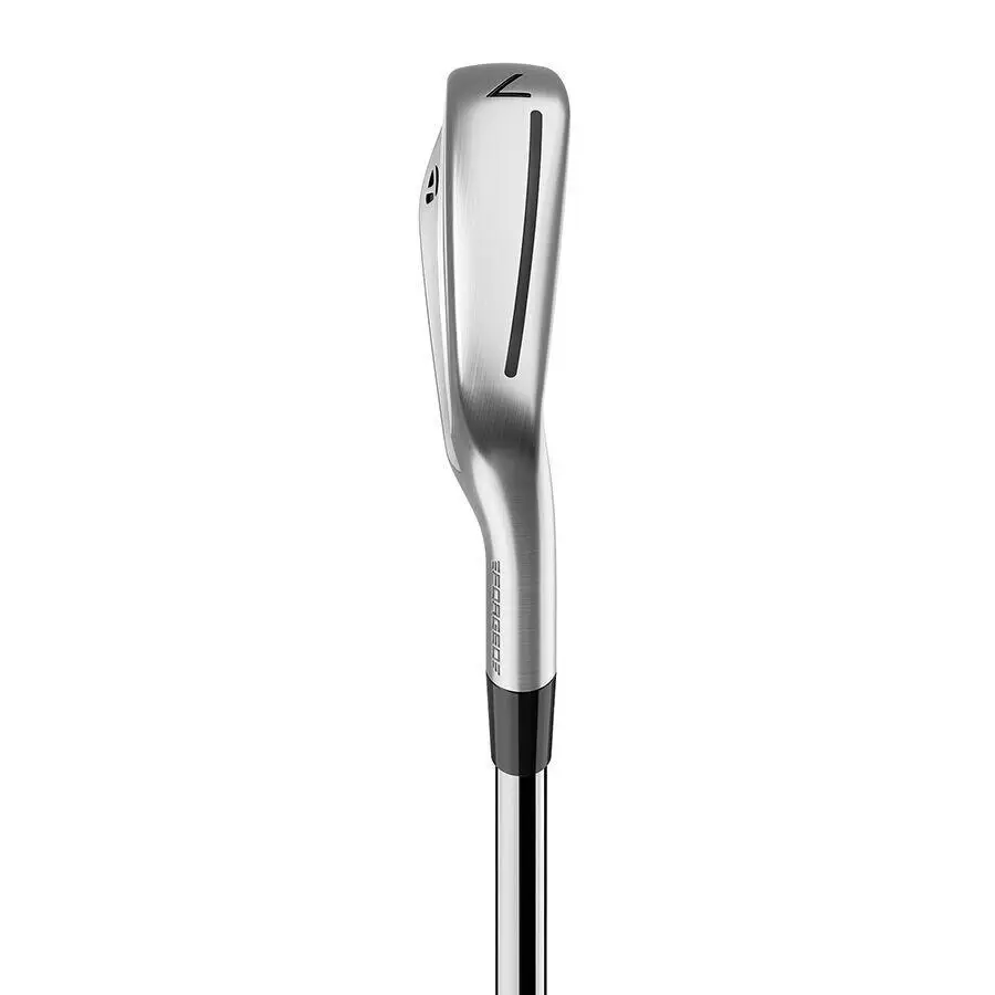 TaylorMade  - TaylorMade P790 - Silver, Lie Angle: Black 0
