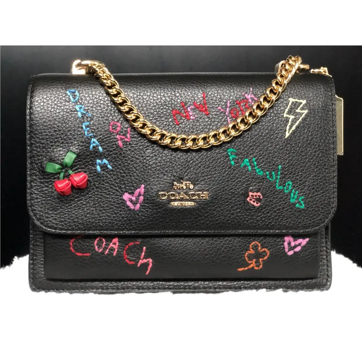 Coach Klare Crossbody Leather Bag with Diary Embroidery