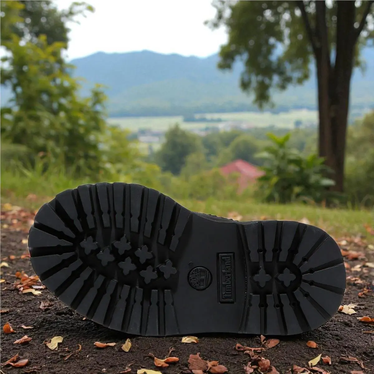 Timberland shoes - Black/Black 3