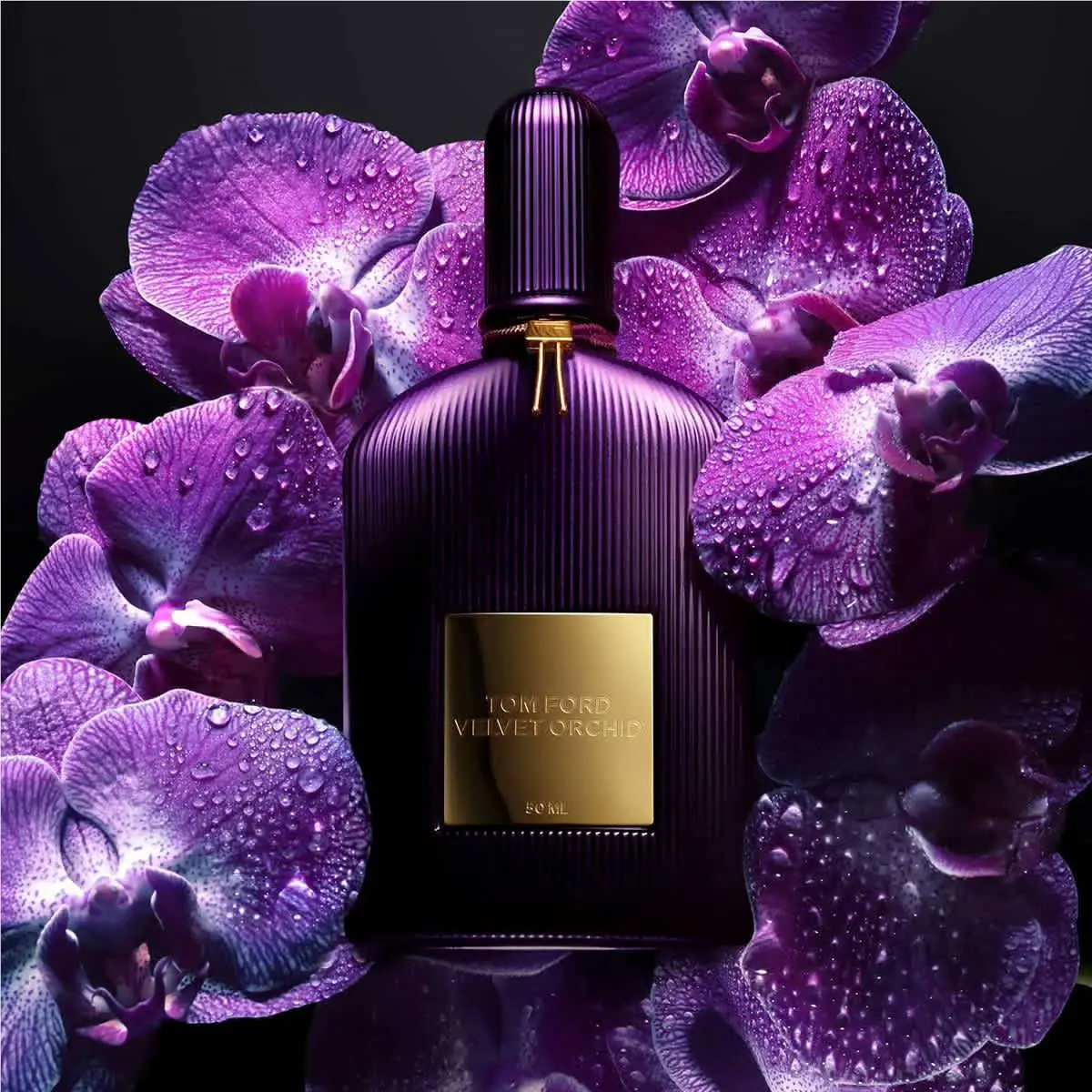 Velvet Orchid/tom Ford Edp Spray 1.7 Oz W