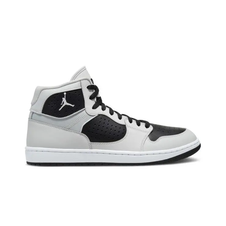Nike shoes - Nike Jordan Access - Access - AR3762–010 - Photon Dust/Black/White 6