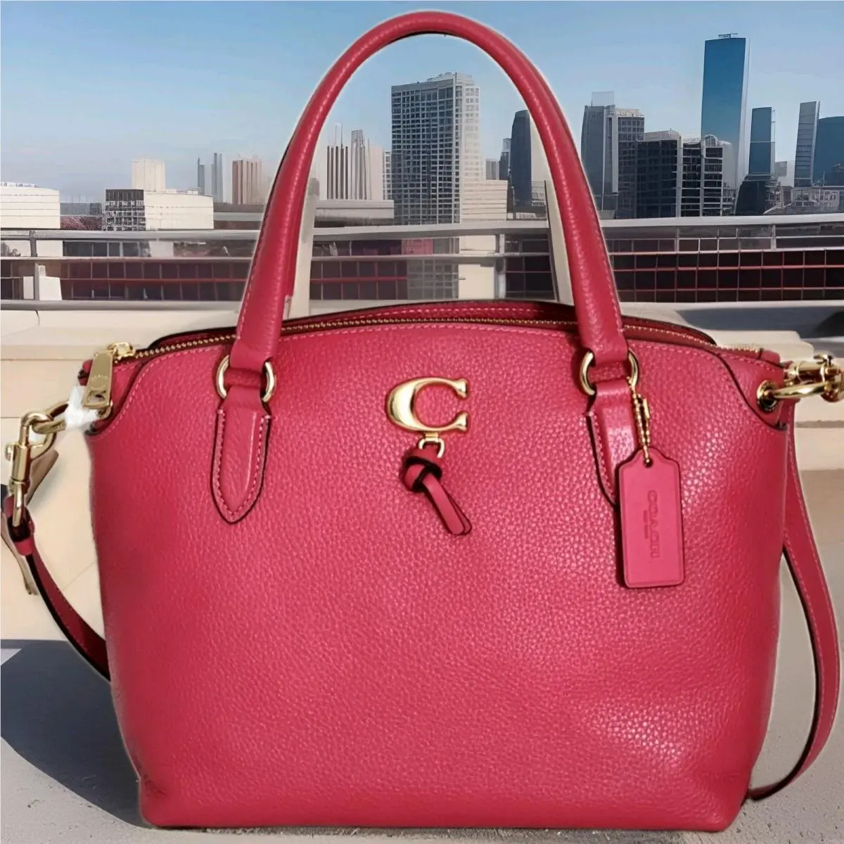 Coach 1317 Remi Strawberry Pebbled Leather Gold C Crossbody Satchel Bag