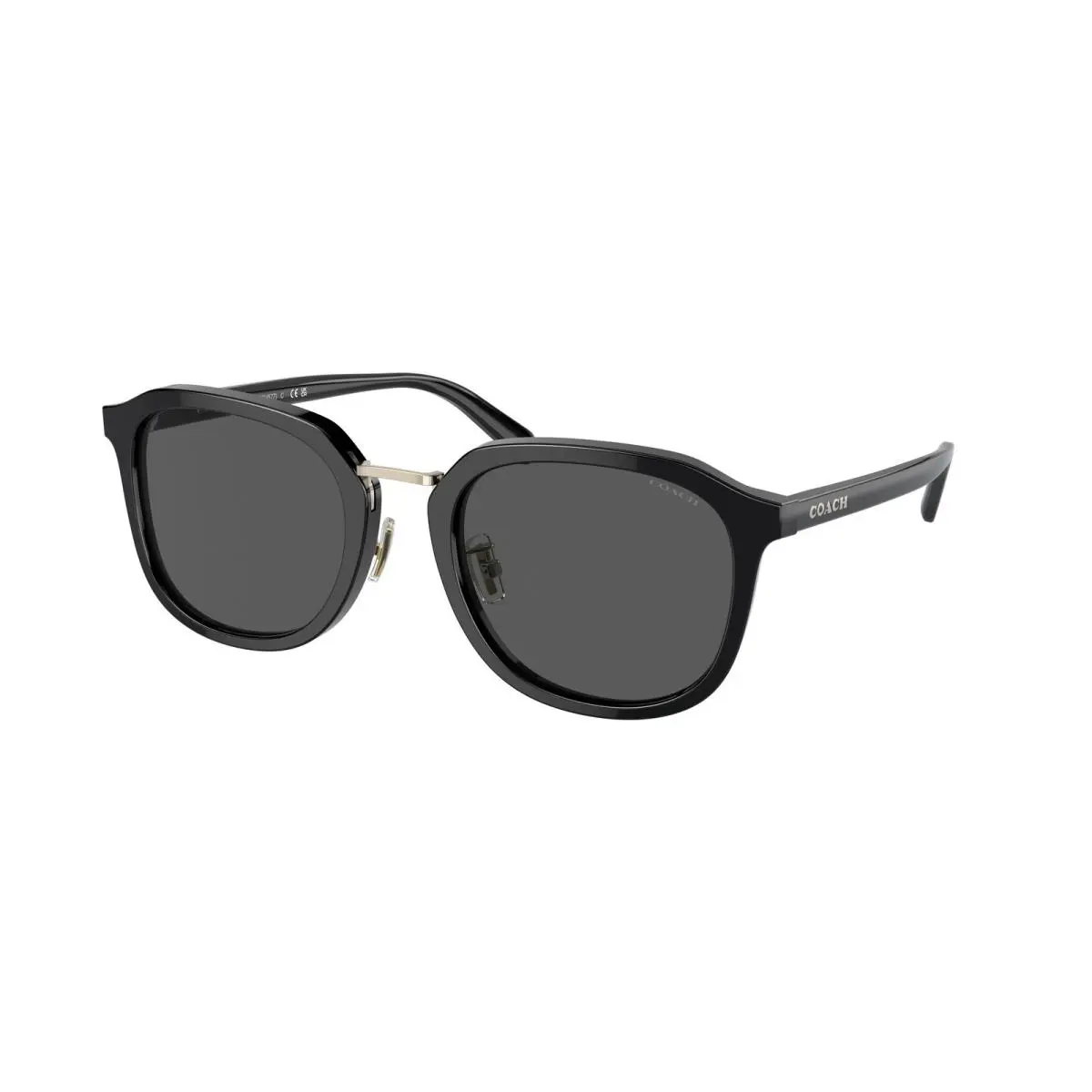 8366 Ch577 Sunglasses 500287 Black by Coach