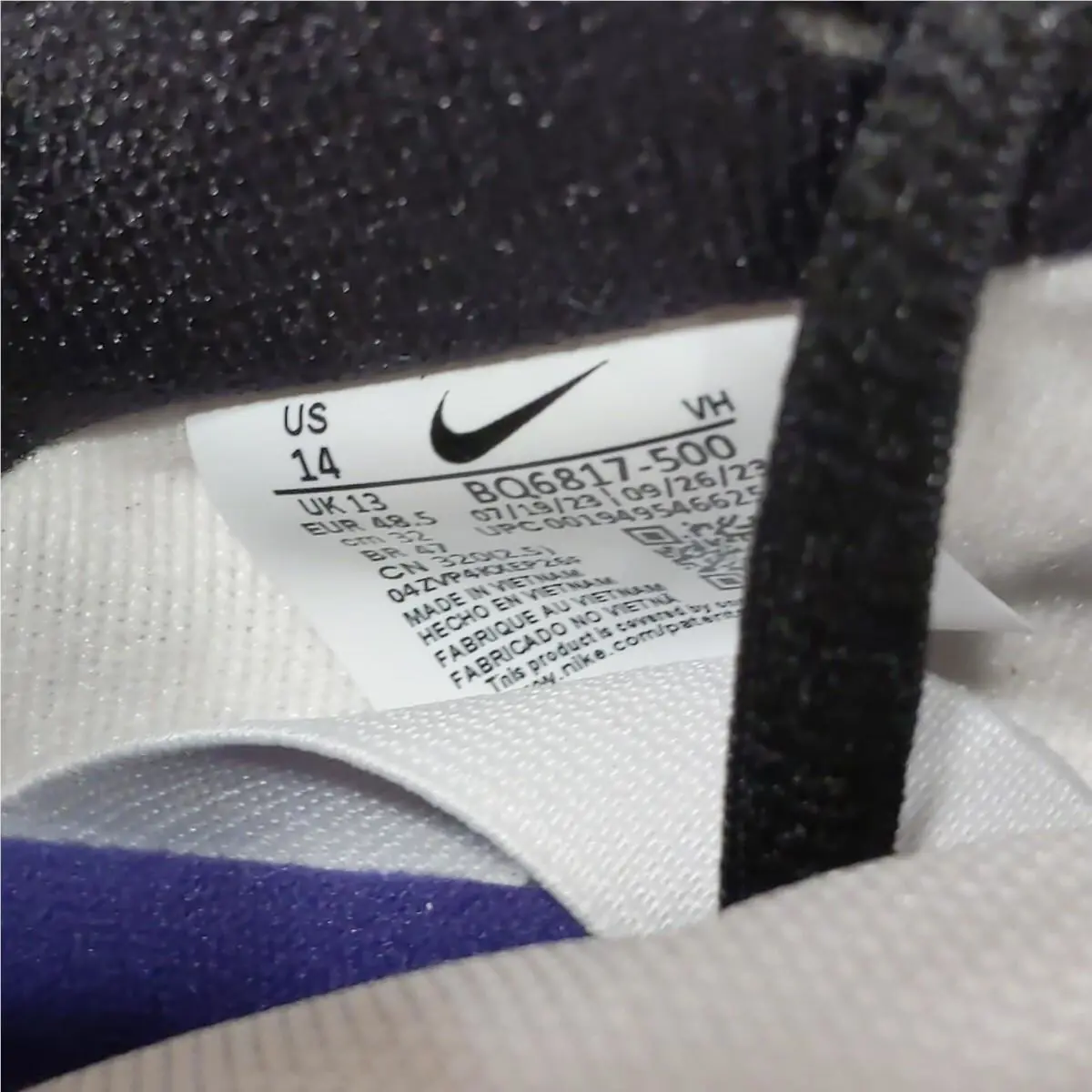 Nike shoes - Nike SB Dunk - Dunk - BQ6817500 - Purple 6