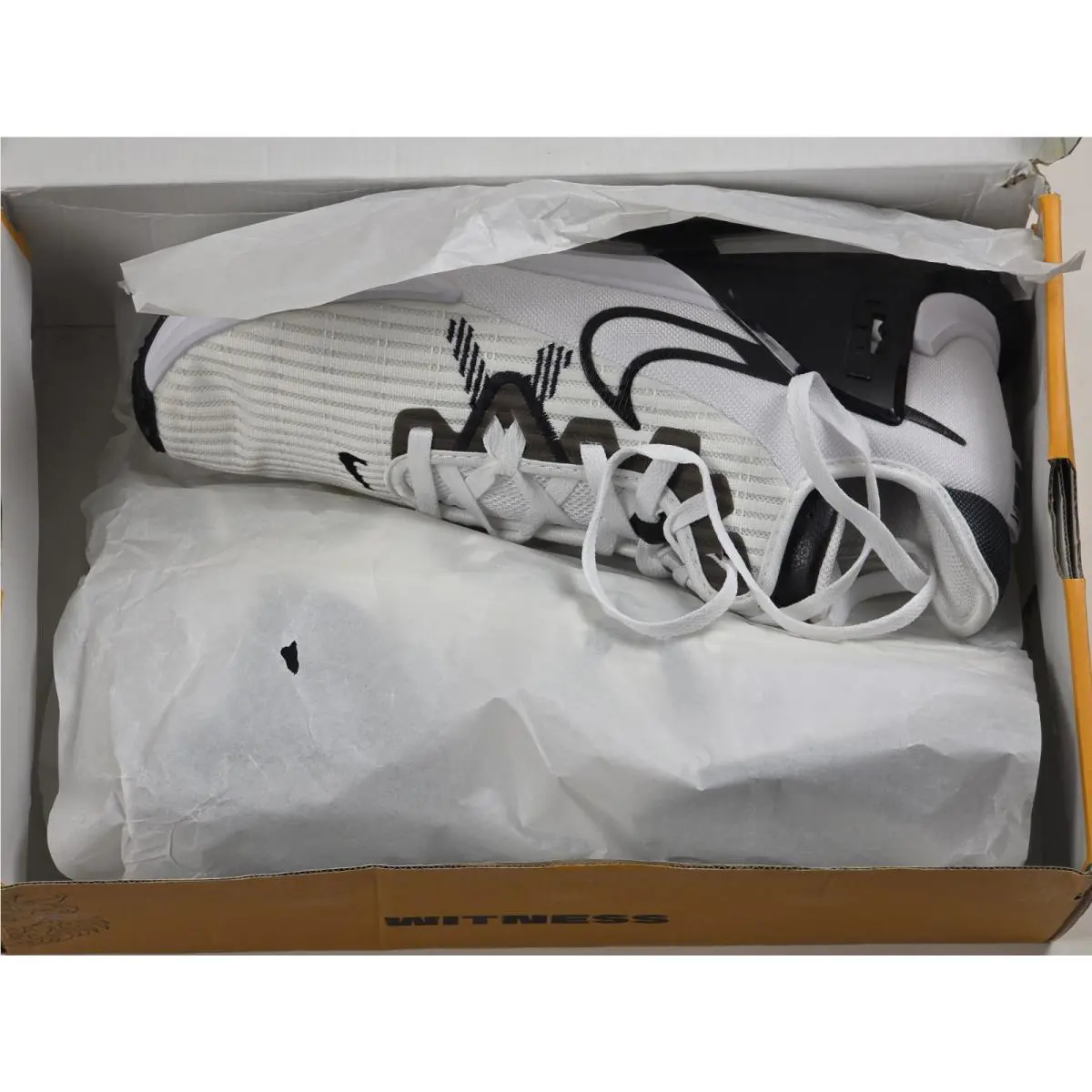Nike shoes - Nike LeBron Witness 6 - LeBron Witness - DO9843-100 - White 1