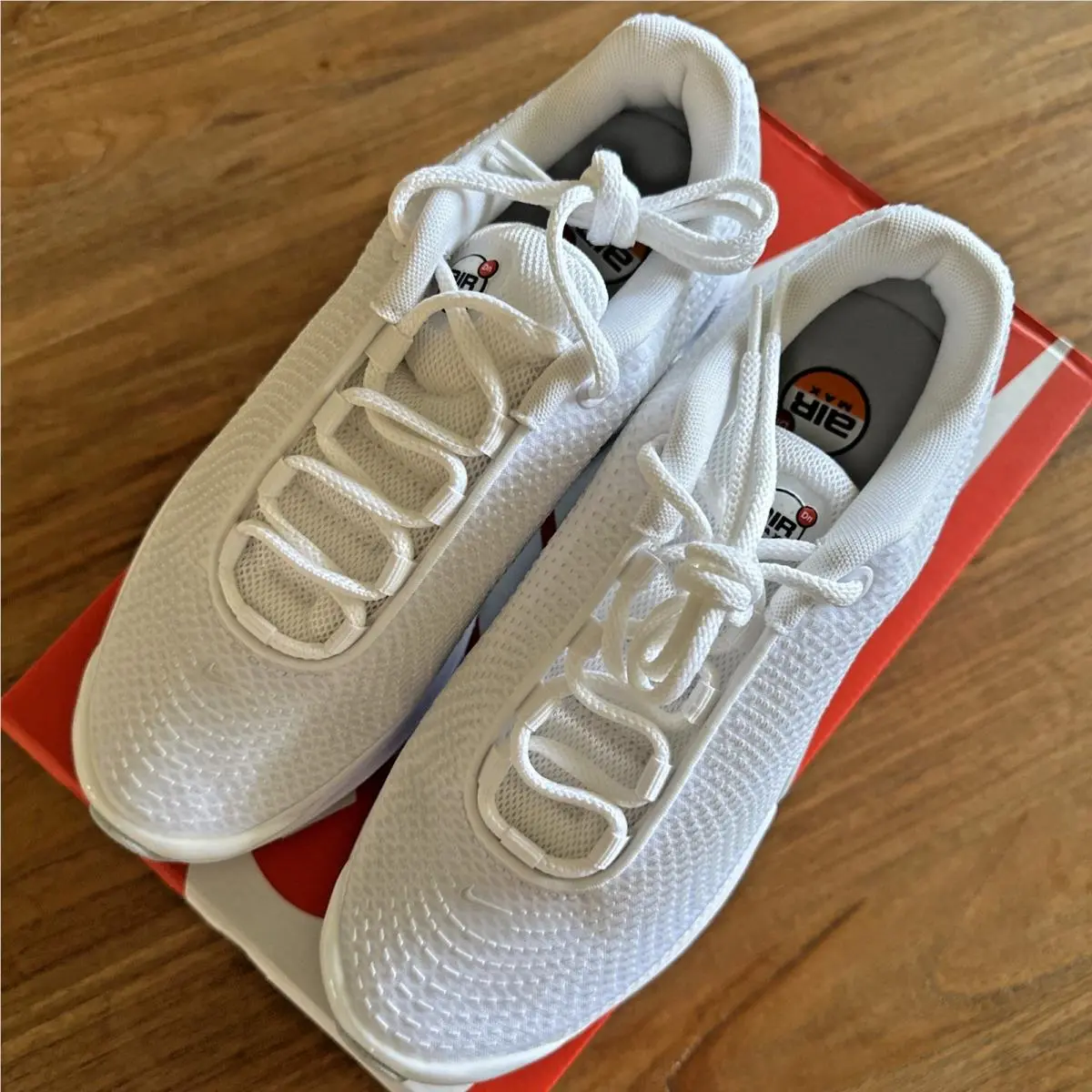 Nike shoes - Nike Air Max DN - Air Max - FJ3145-102 - White 10