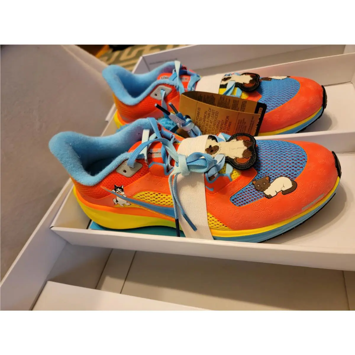 Nike shoes - Nike Air Zoom Pegasus 41 - IB6096-920 - Multicolor 1