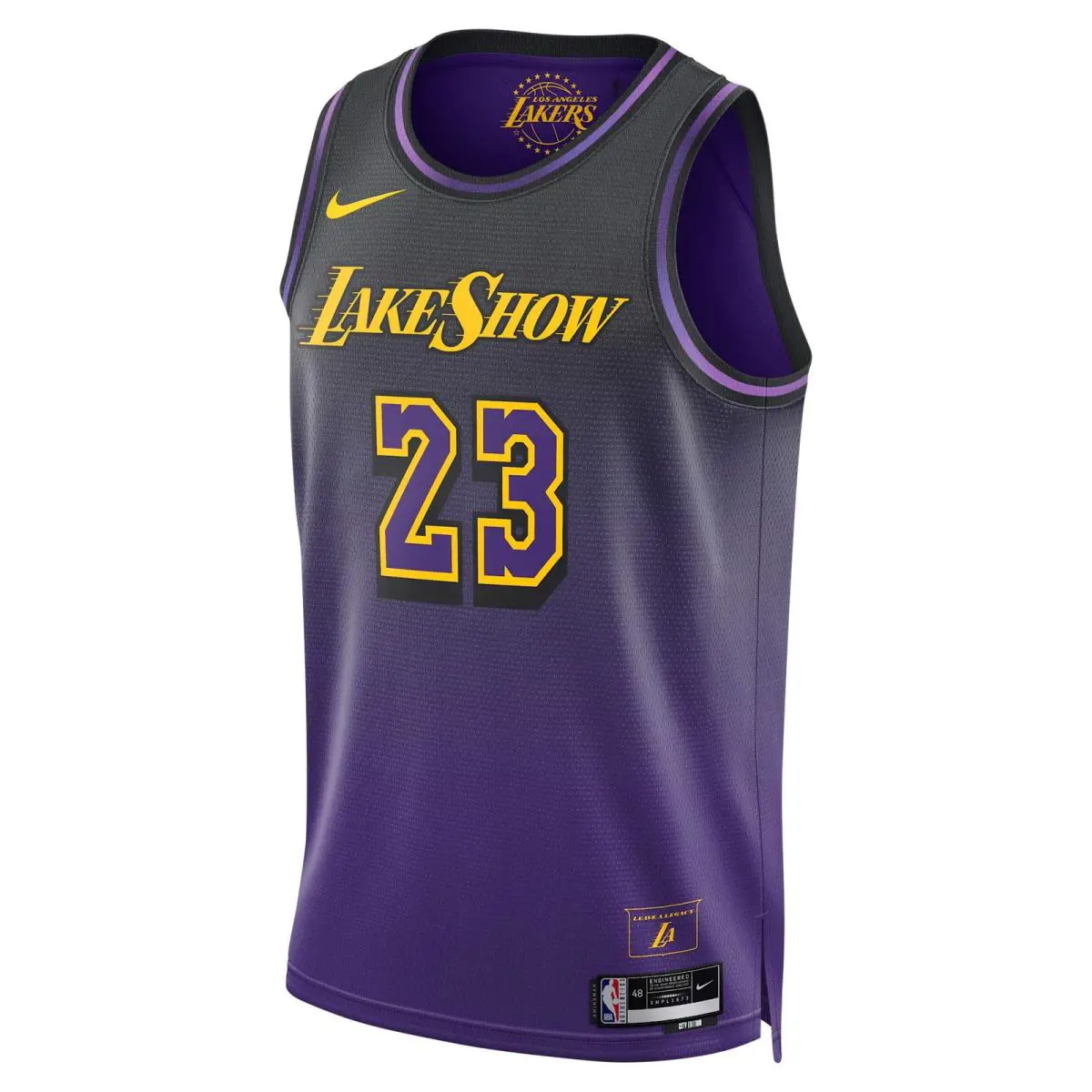 FQ4346-504 Mens Nike Nba Lebron James Los Angeles Lakers 2024/25 City Edition - Field Purple