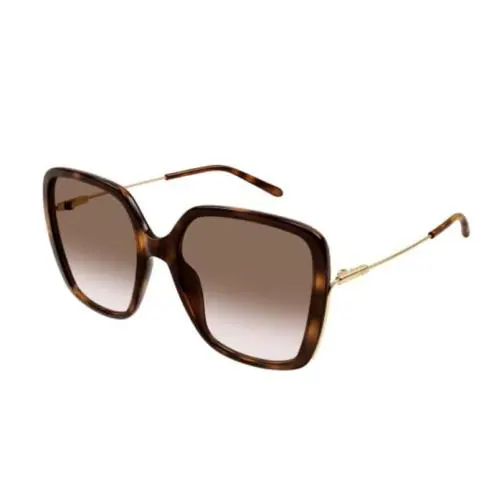Chloé Sunglasses Female Brown 57 MM Ch0173S Sunglasses