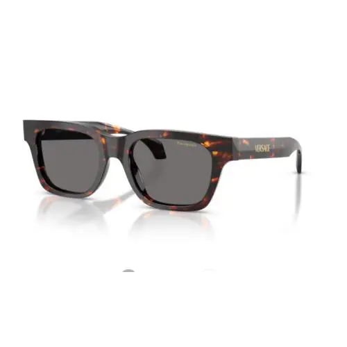Versace VE4486 550981 Havana / Dark Grey Polarized Square Men`s Sunglasses