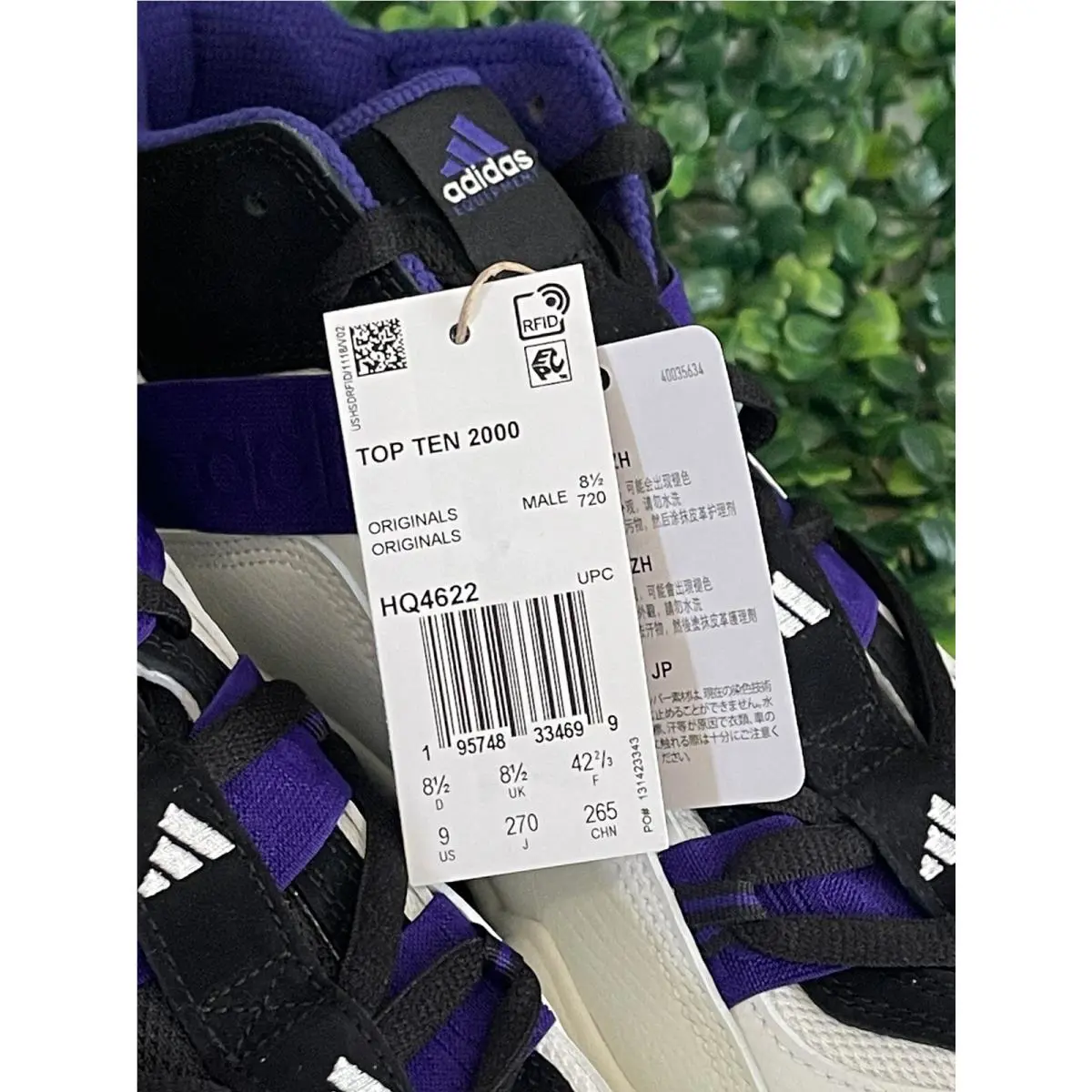 Adidas shoes - adidas Top Ten 2000 - Top Ten - HQ4622 - Ivory 7