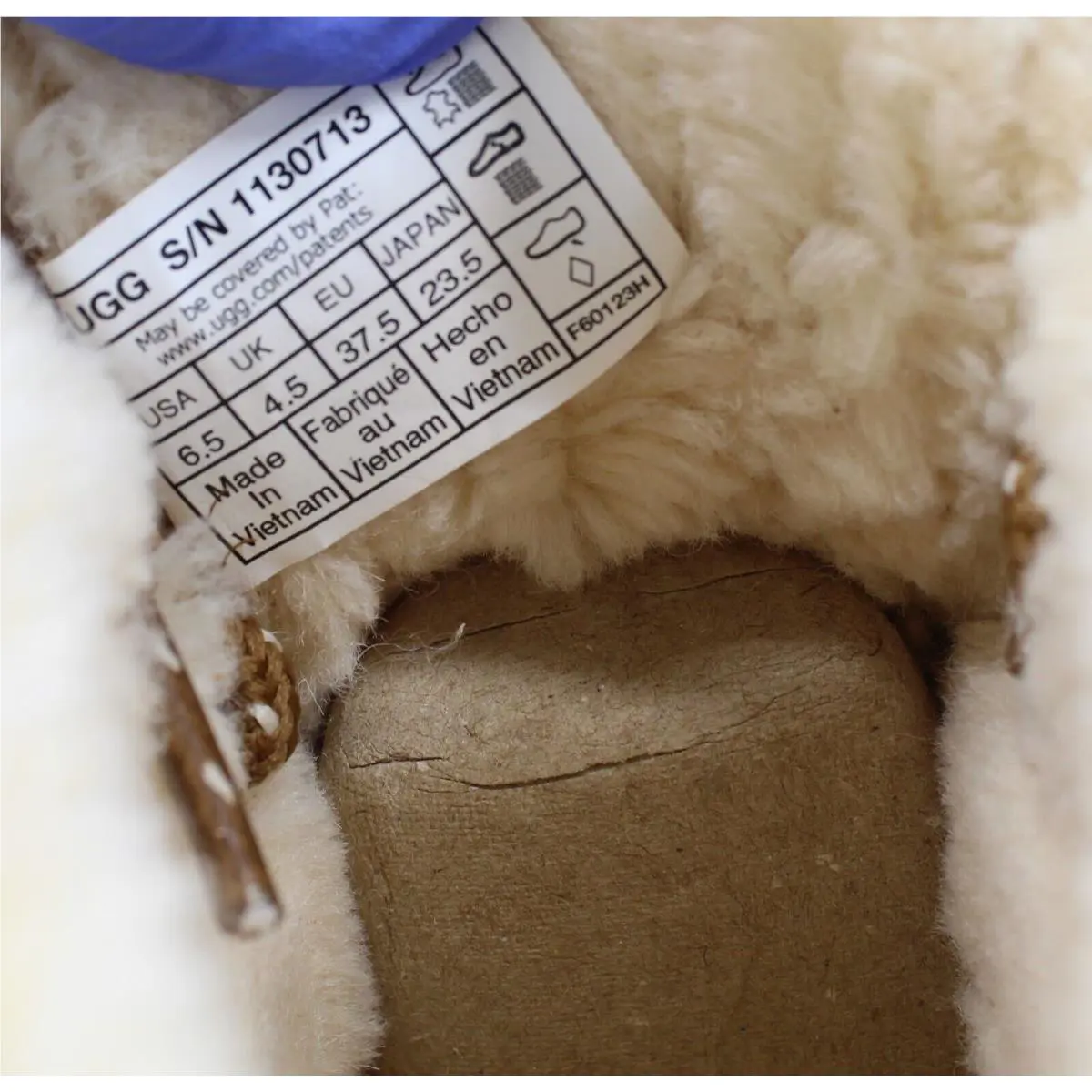 UGG shoes - CHESTNUT 6