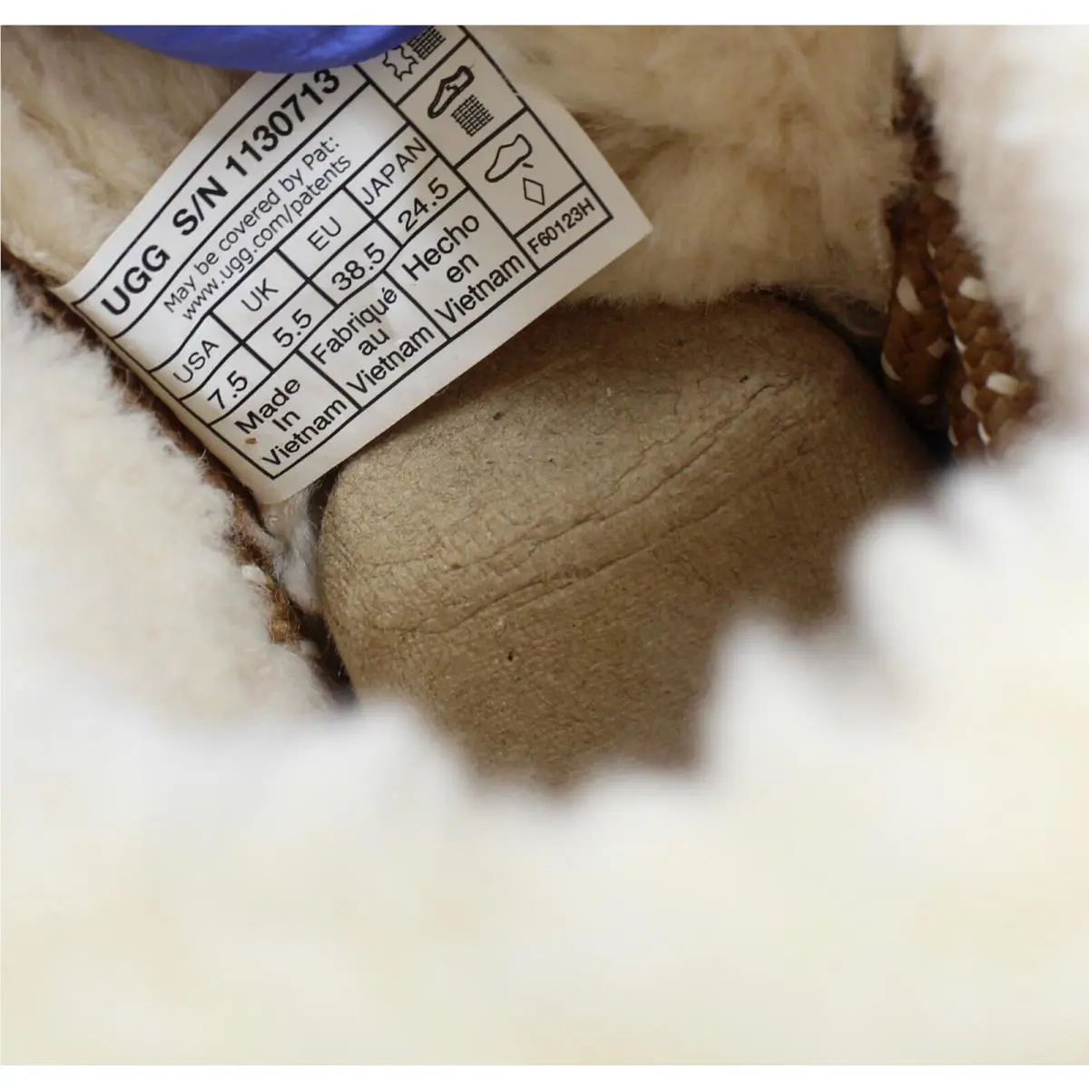UGG shoes - CHESTNUT 10