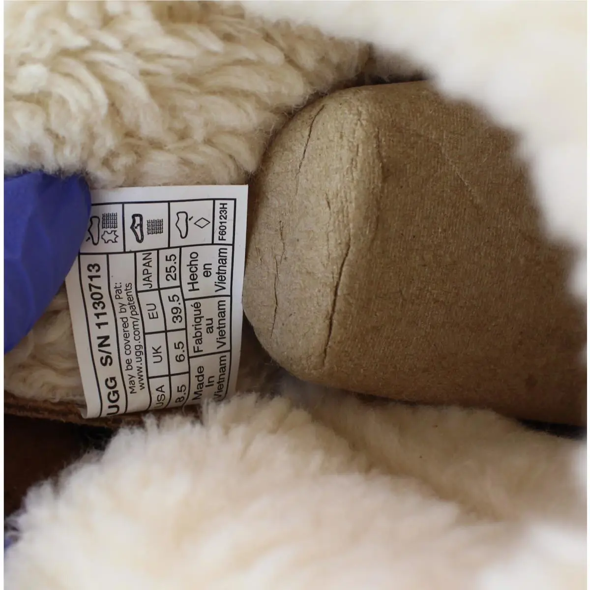 UGG shoes - CHESTNUT 15