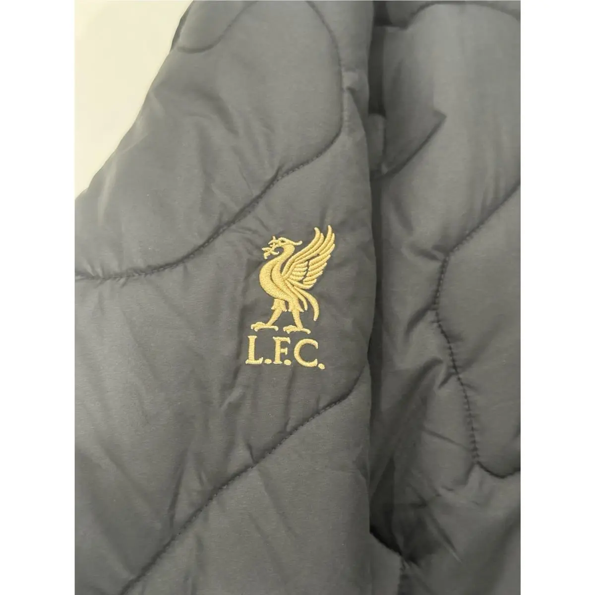 Nike clothing - LeBron x Liverpool FC Therma-FIT ADV Repel Jacket - FQ4129010 - Black 4