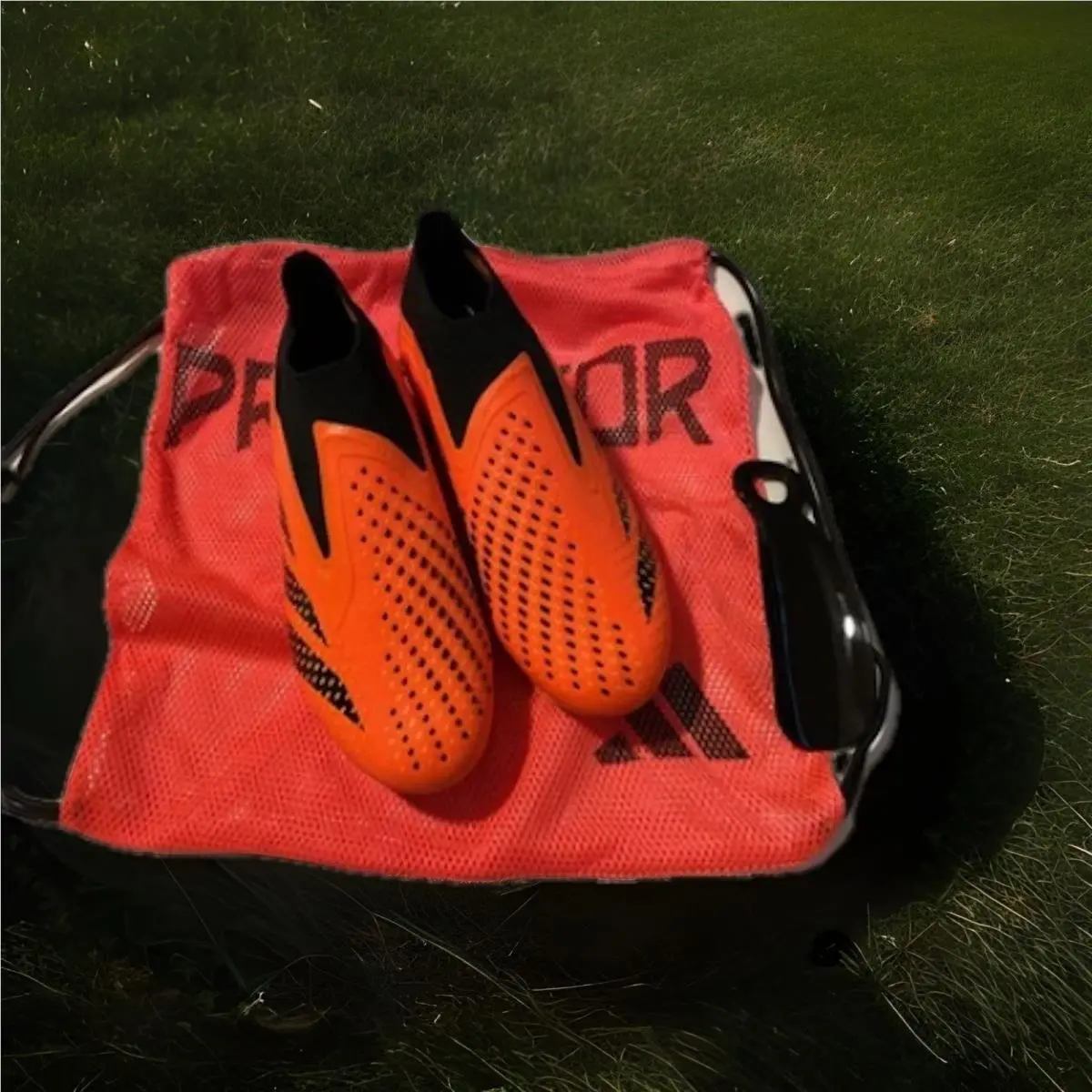 Adidas shoes - adidas Predator accuracy+ - Predator - GW4560 - Multicolor 6