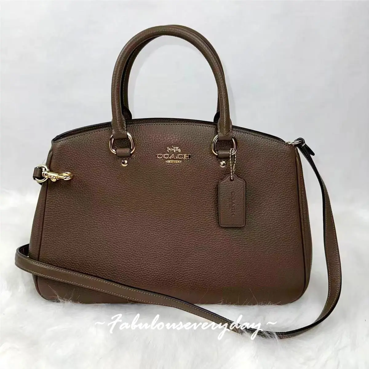Coach Savannah Carryall Bag Crossbody In Leather/gold/dark Stone CAL56