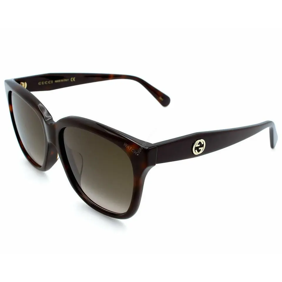 Gucci Havana/brown Lens 56-16-145mm Women`s Sunglasses GG0800SA 003