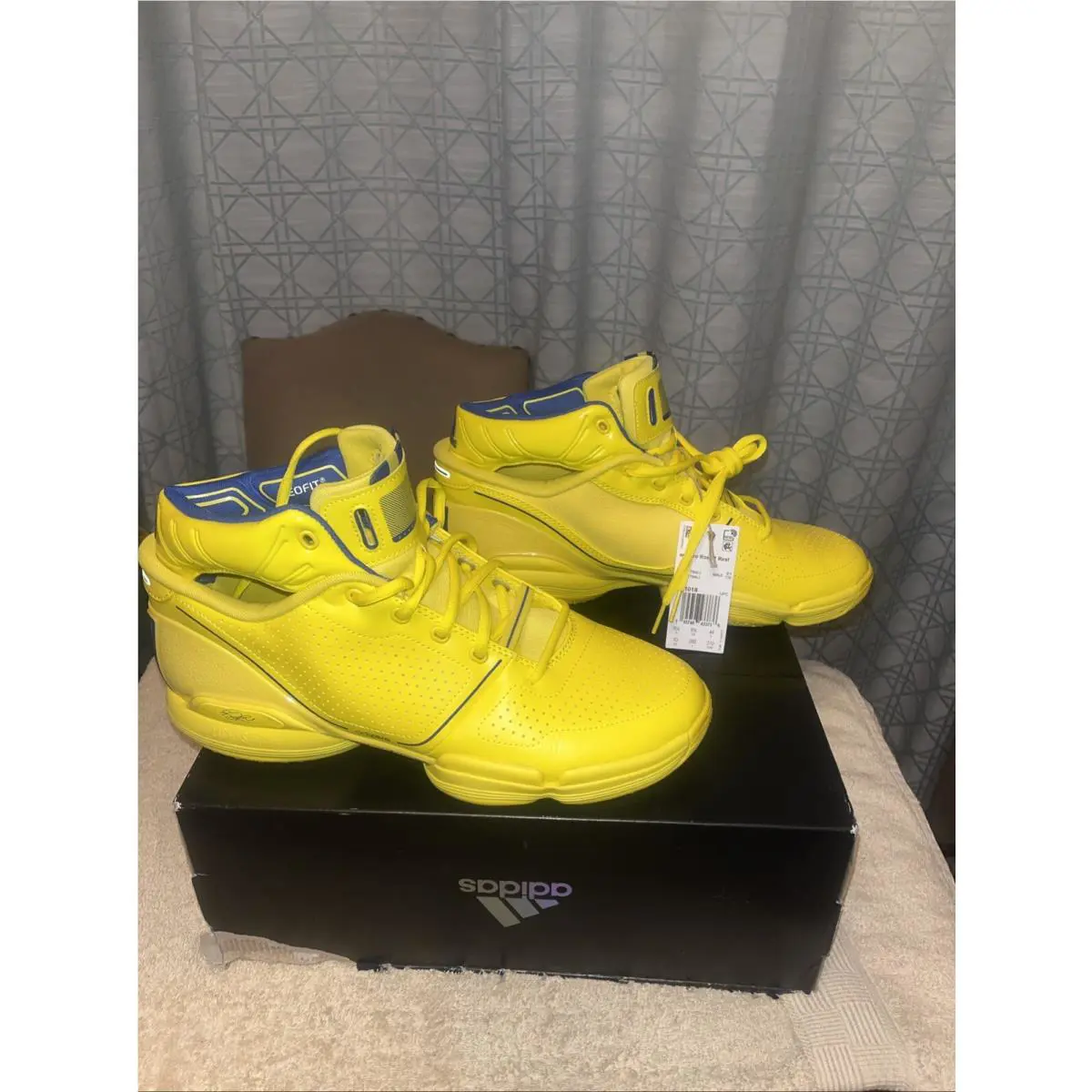 Adidas shoes Derrick Rose - Team Yellow/Royal Blue/Team Yellow 1