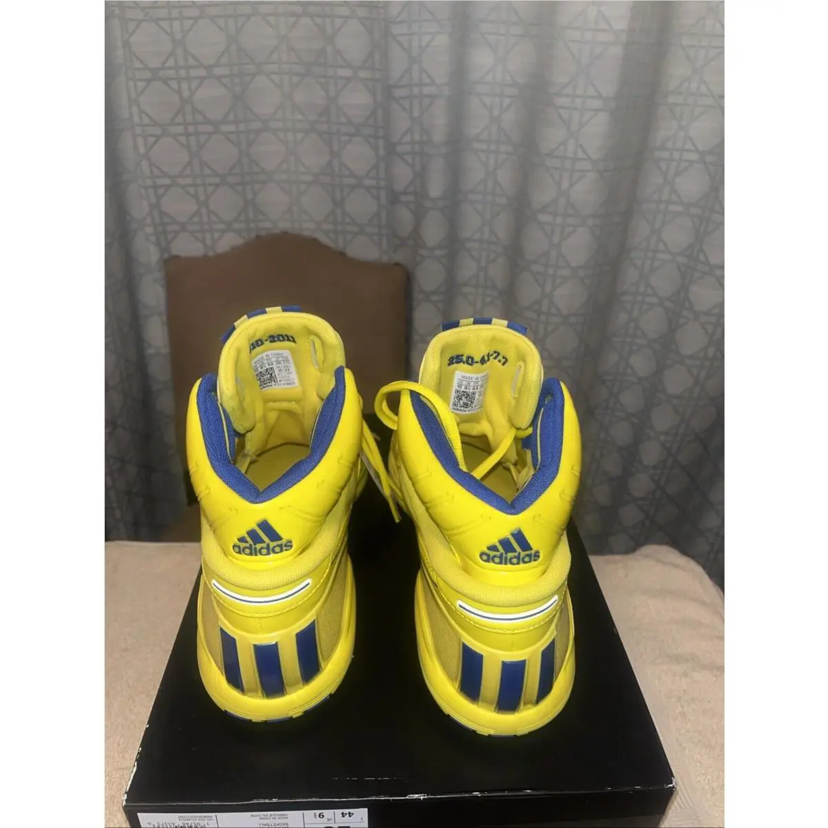 Adidas shoes Derrick Rose - Team Yellow/Royal Blue/Team Yellow 2