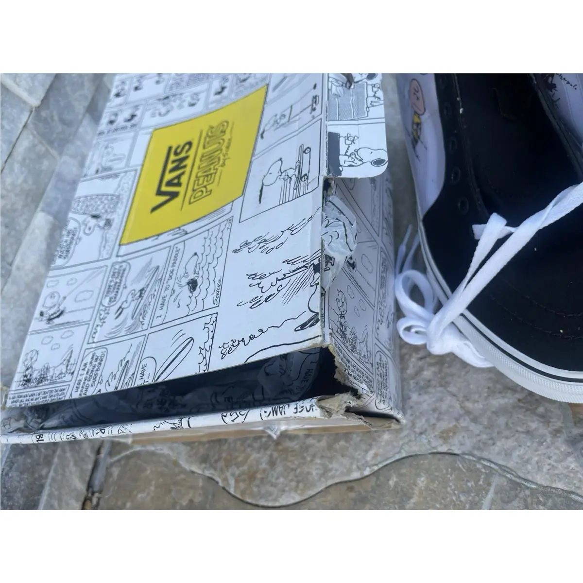 Vans shoes - Vans Sk8 Hi - VN0A38GEP3E - Multicolor/True White 12
