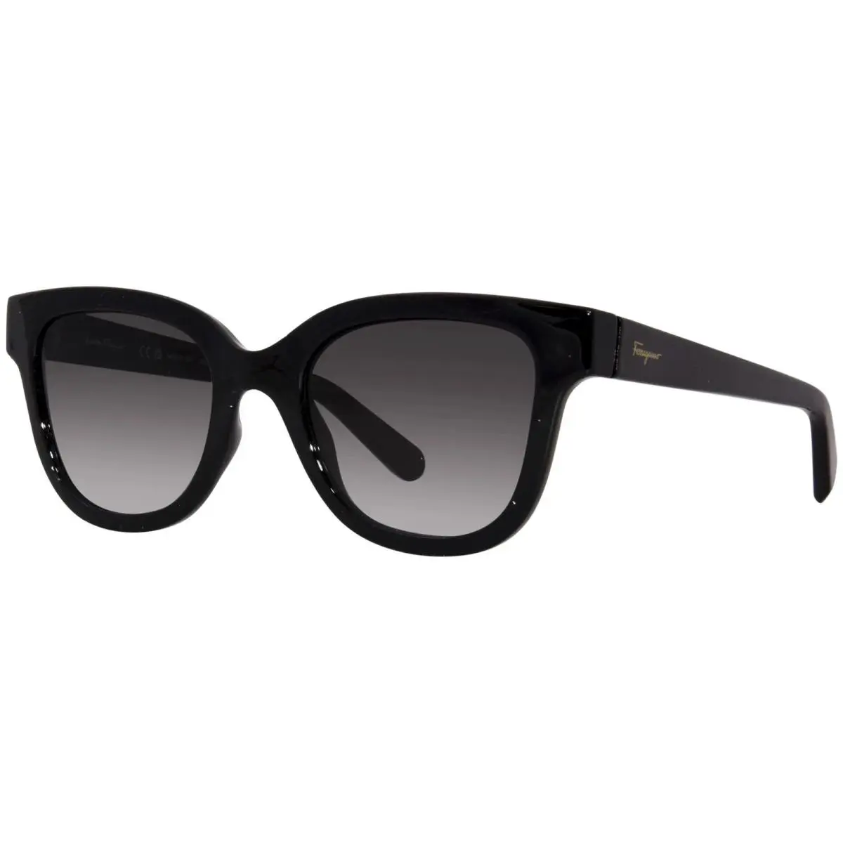 and Auathentic Salvatore Ferragamo SF1066S 001 Black 52 21 140