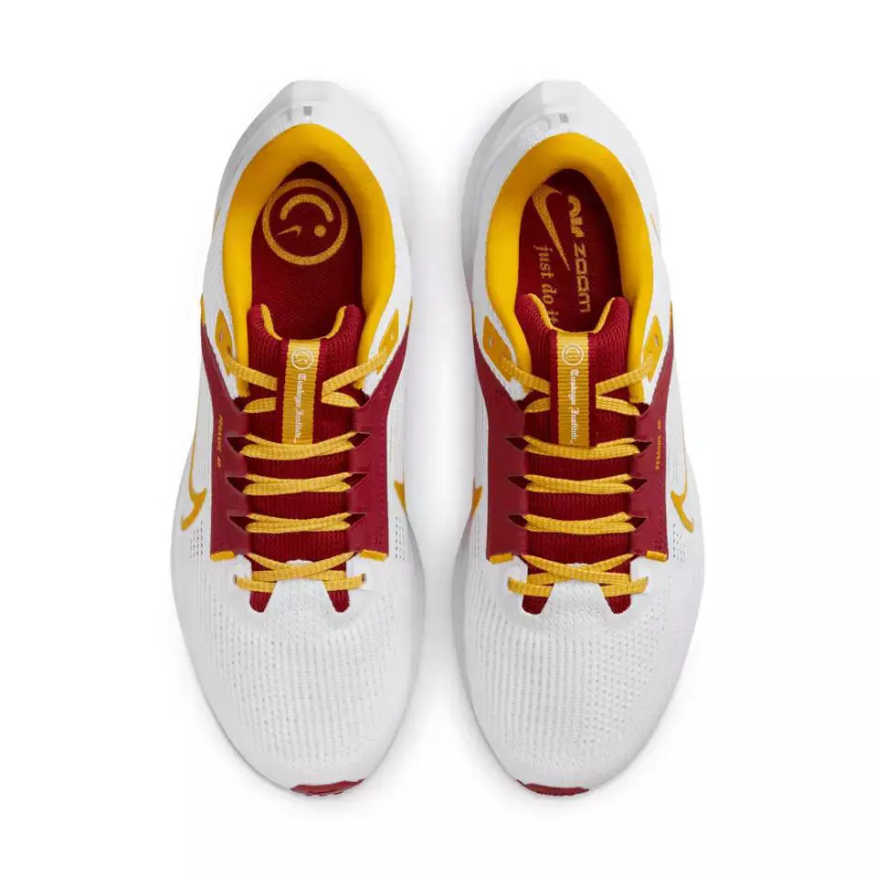 Nike shoes - Nike Air Zoom Pegasus 40 - DZ6004-100 - White 1