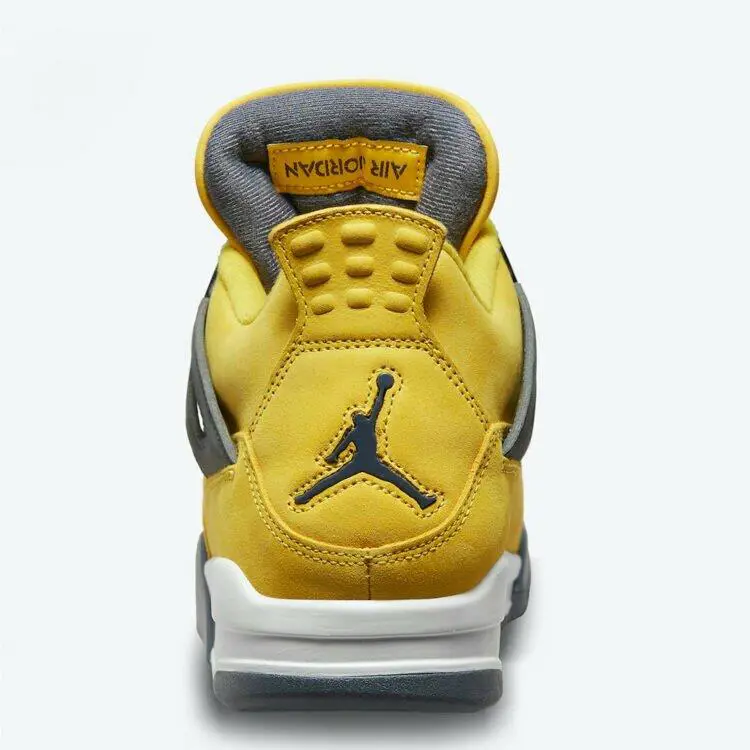 Nike shoes - Air Jordan 4 - Air - CT8527700 - Multicolor 3