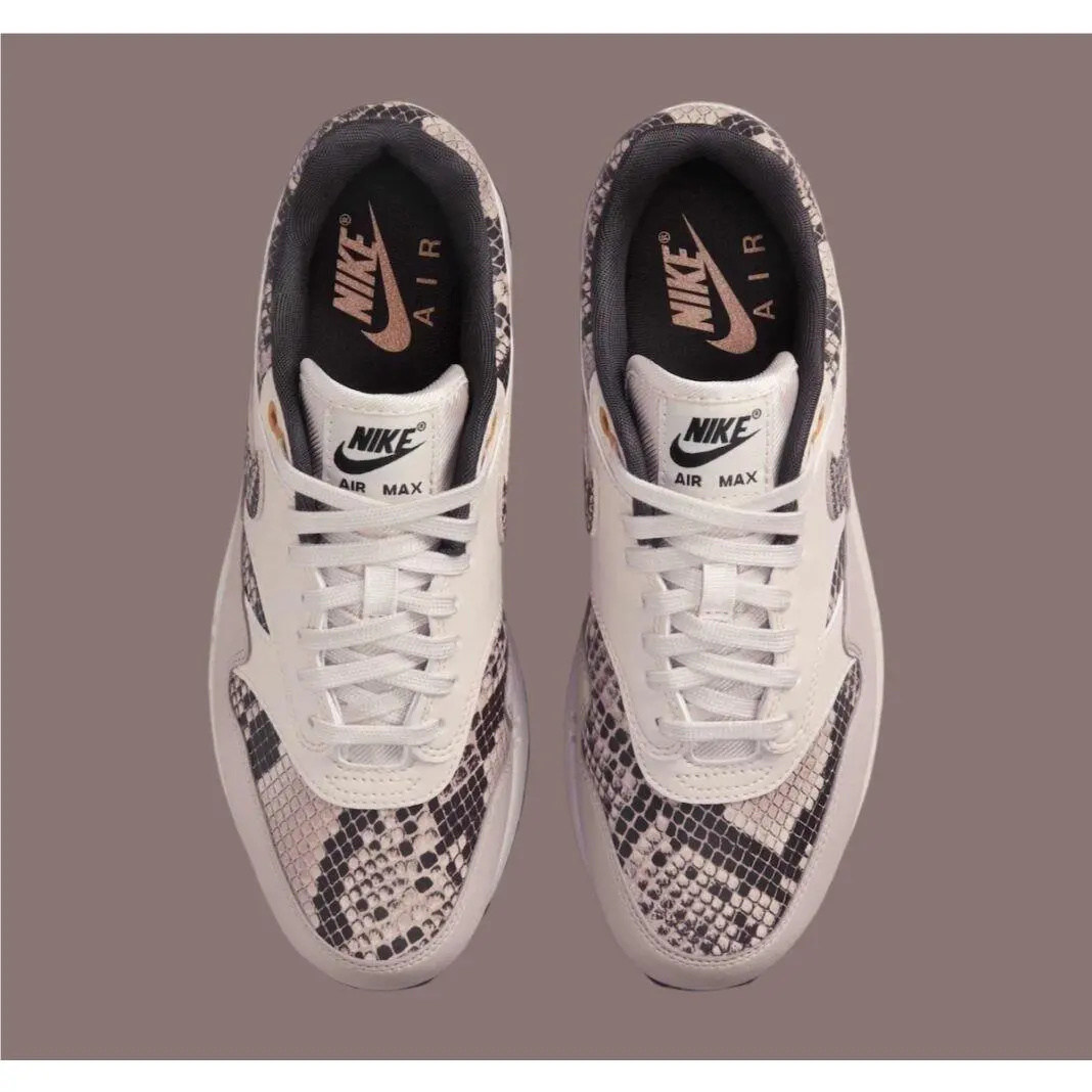 Nike shoes - Nike Air Max 1 - Air Max - HF5338-100 - Brown 2
