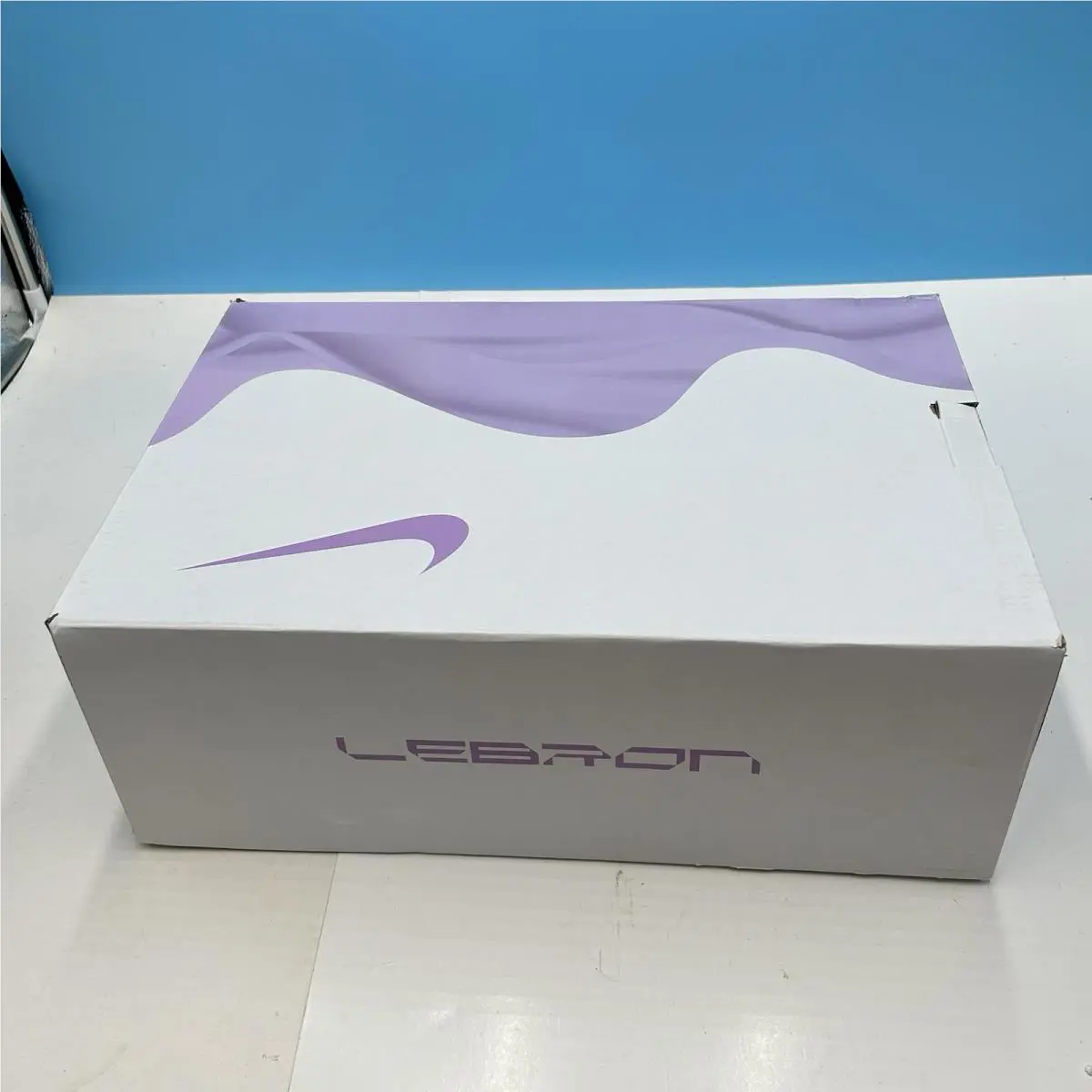 Nike shoes - Nike Zoom LeBron 4 - Zoom LeBron - DQ9310-100 - White 14