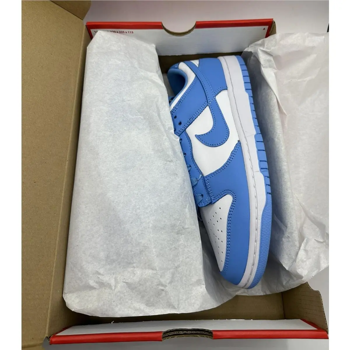 Nike shoes - Nike Dunk Low - Dunk Low - DD1391-102 - Blue 5