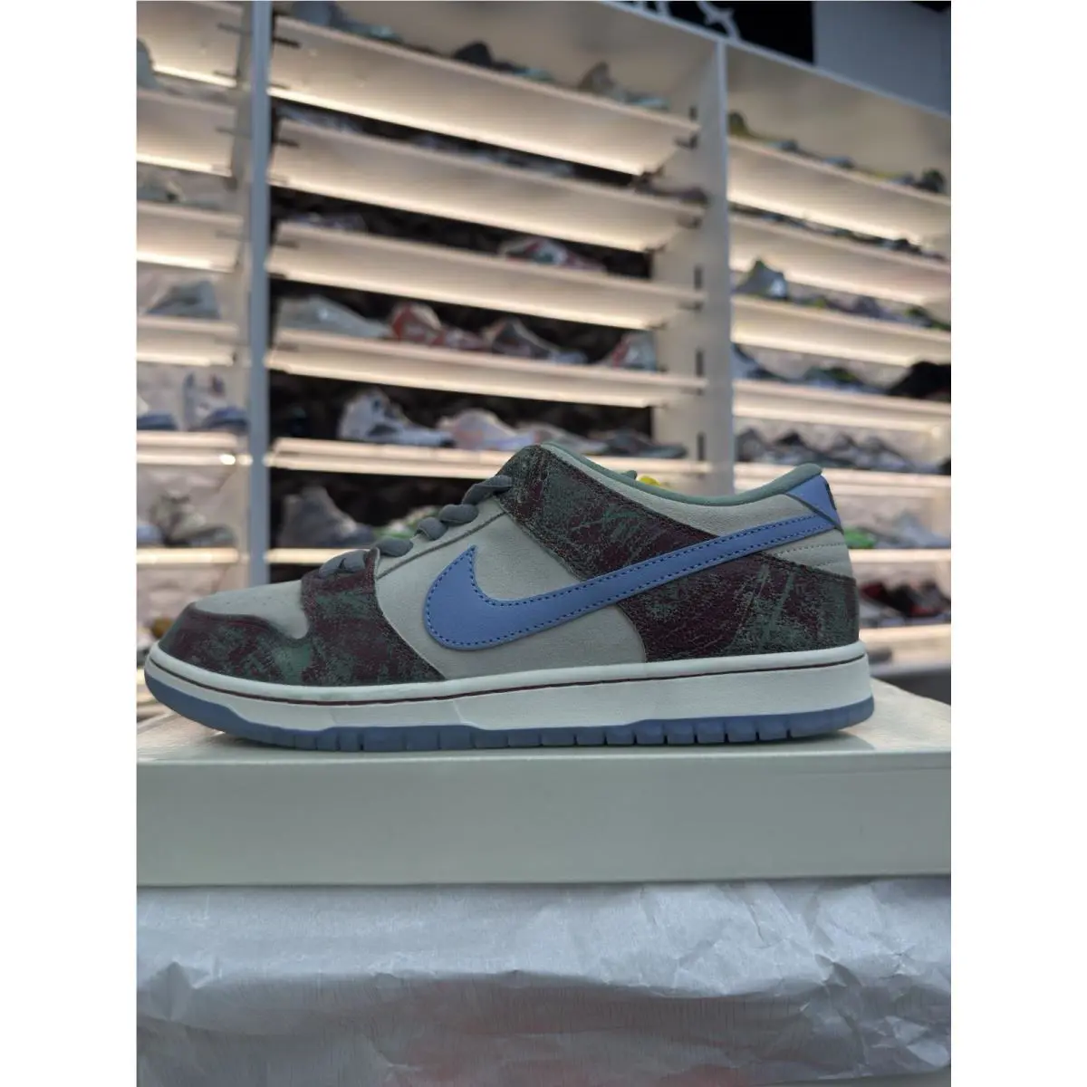 Nike shoes - Nike Dunk SB - Dunk - FN4193-100 - Ivory 1