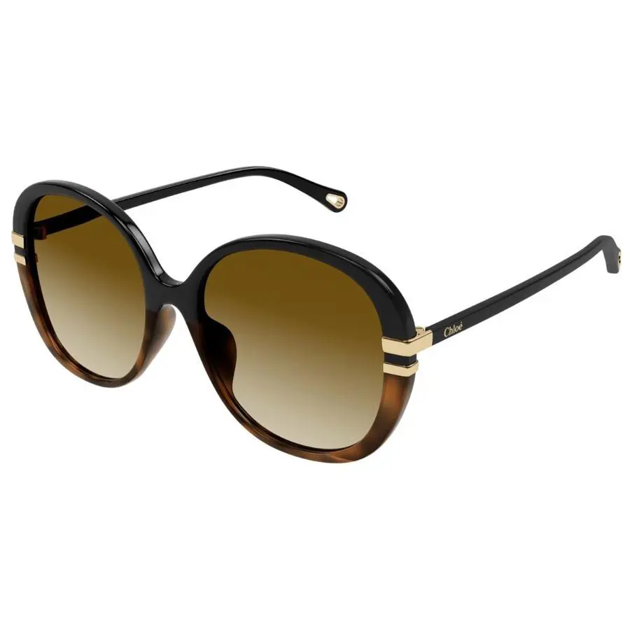 Chloe Sunglasses CH0207SK 003 D