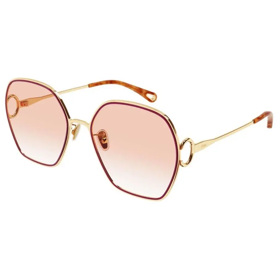 Chloe Sunglasses CH0146S 004 D