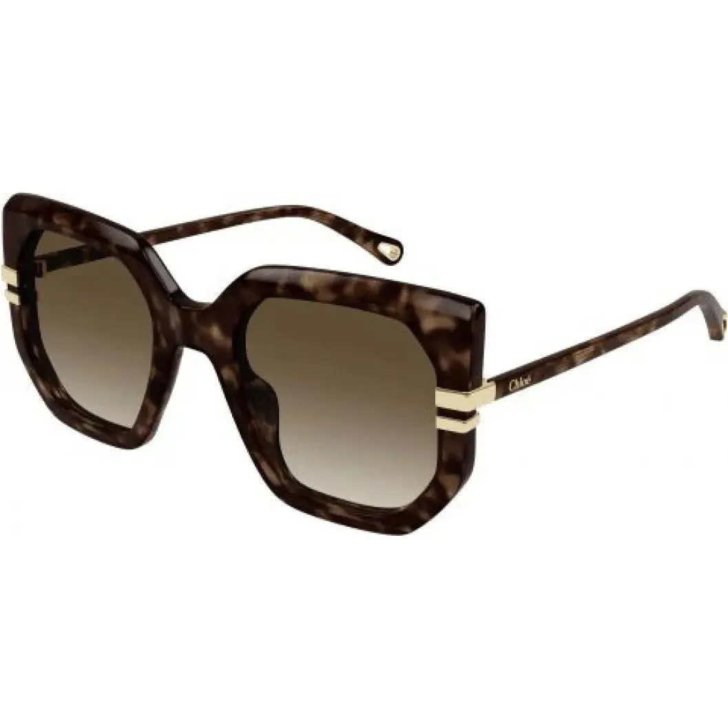 Chloe Sunglasses CH0240S 002 D