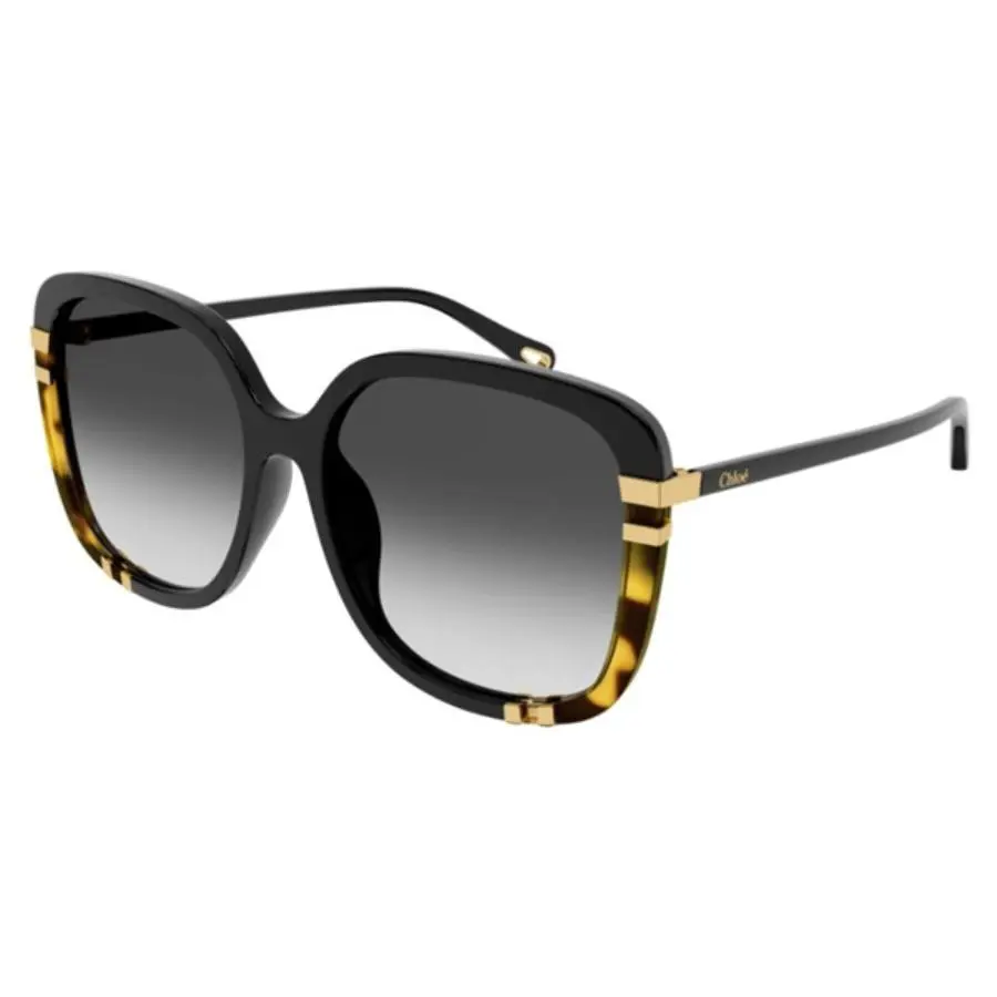 Chloe Sunglasses CH0106SA 002 D
