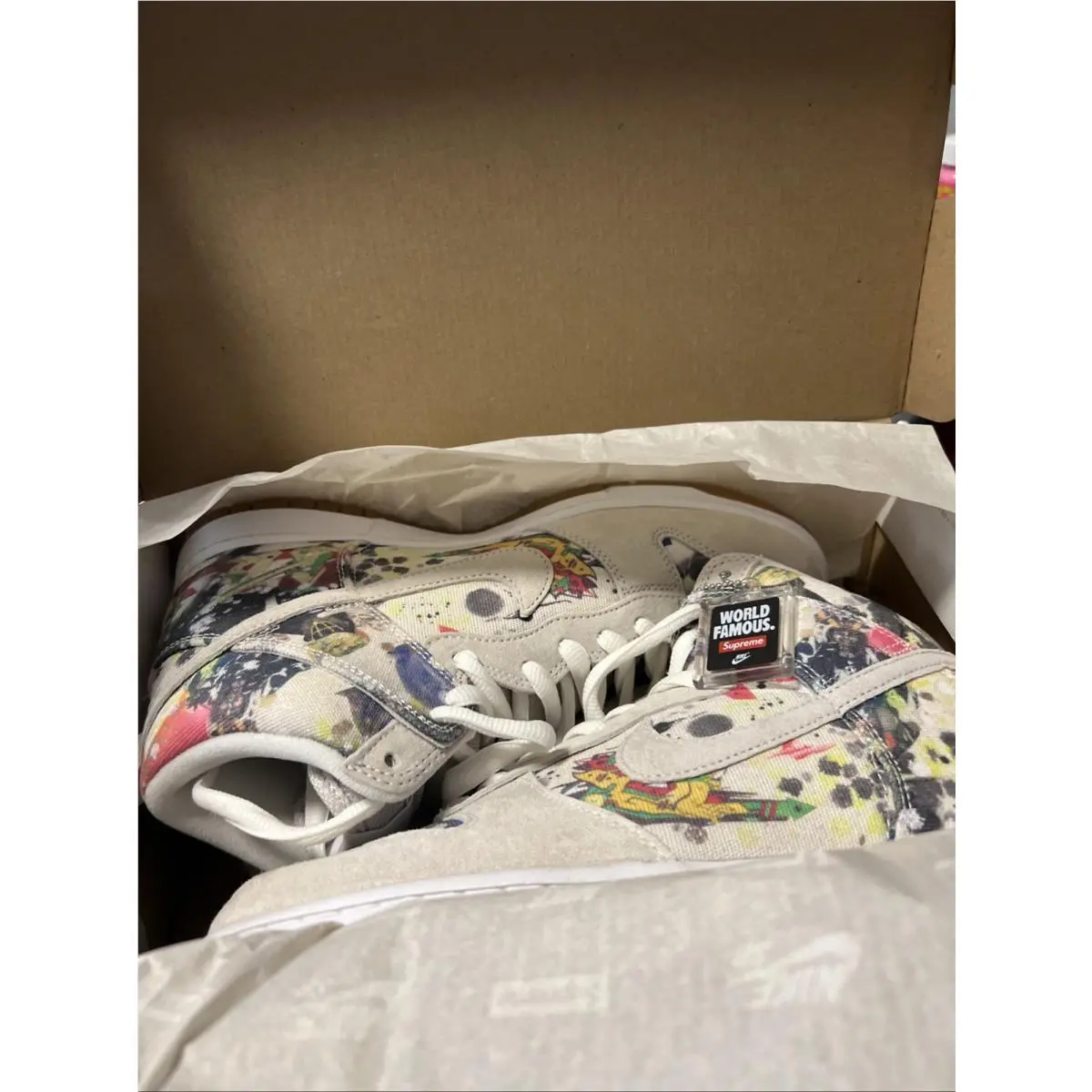 Nike shoes - Nike Dunk SB - Dunk - FD8779-100 - White, Manufacturer: White/White/Multi-Color 3