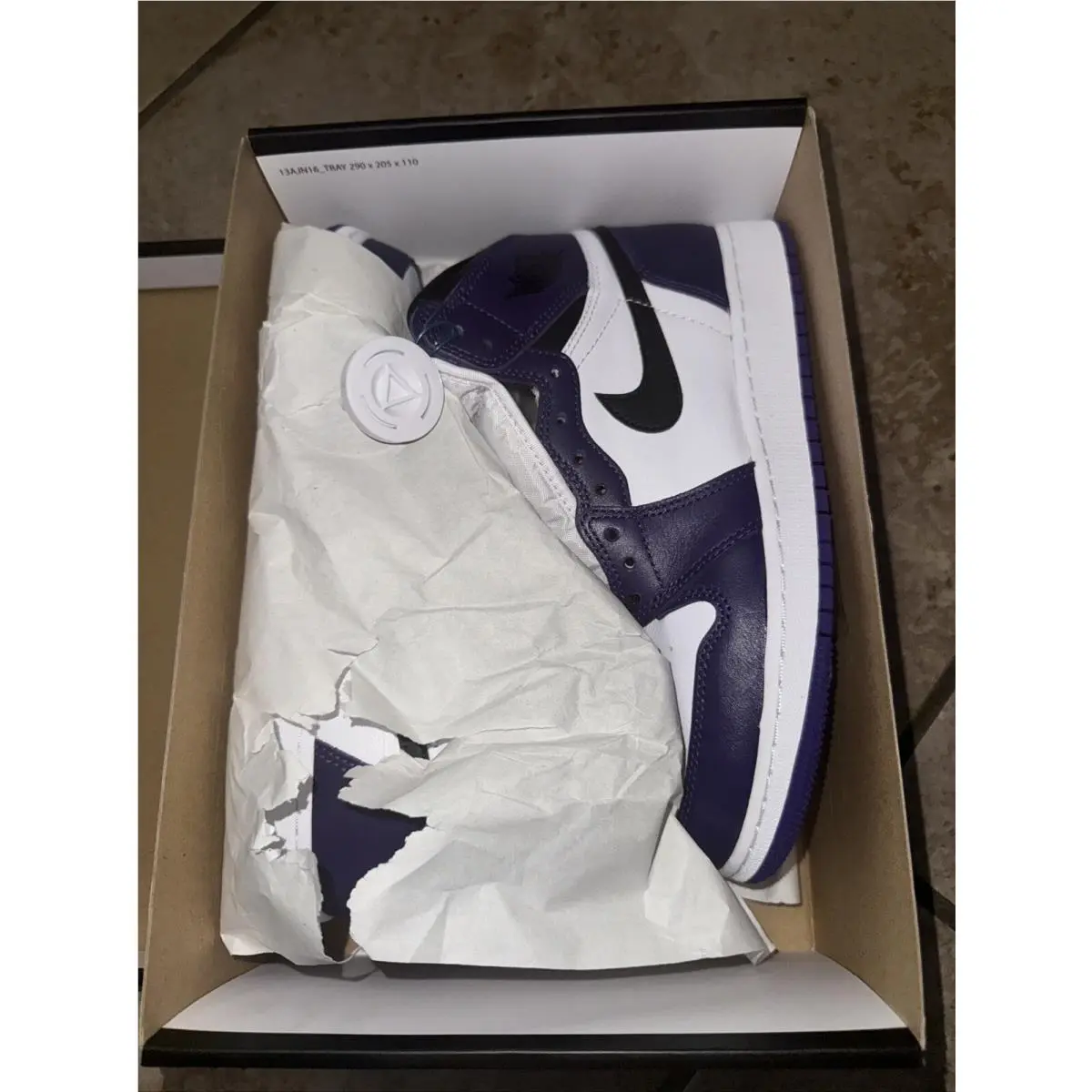 Nike Air Jordan 1 Retro High OG GS Court Purple 2.0 575441-500
