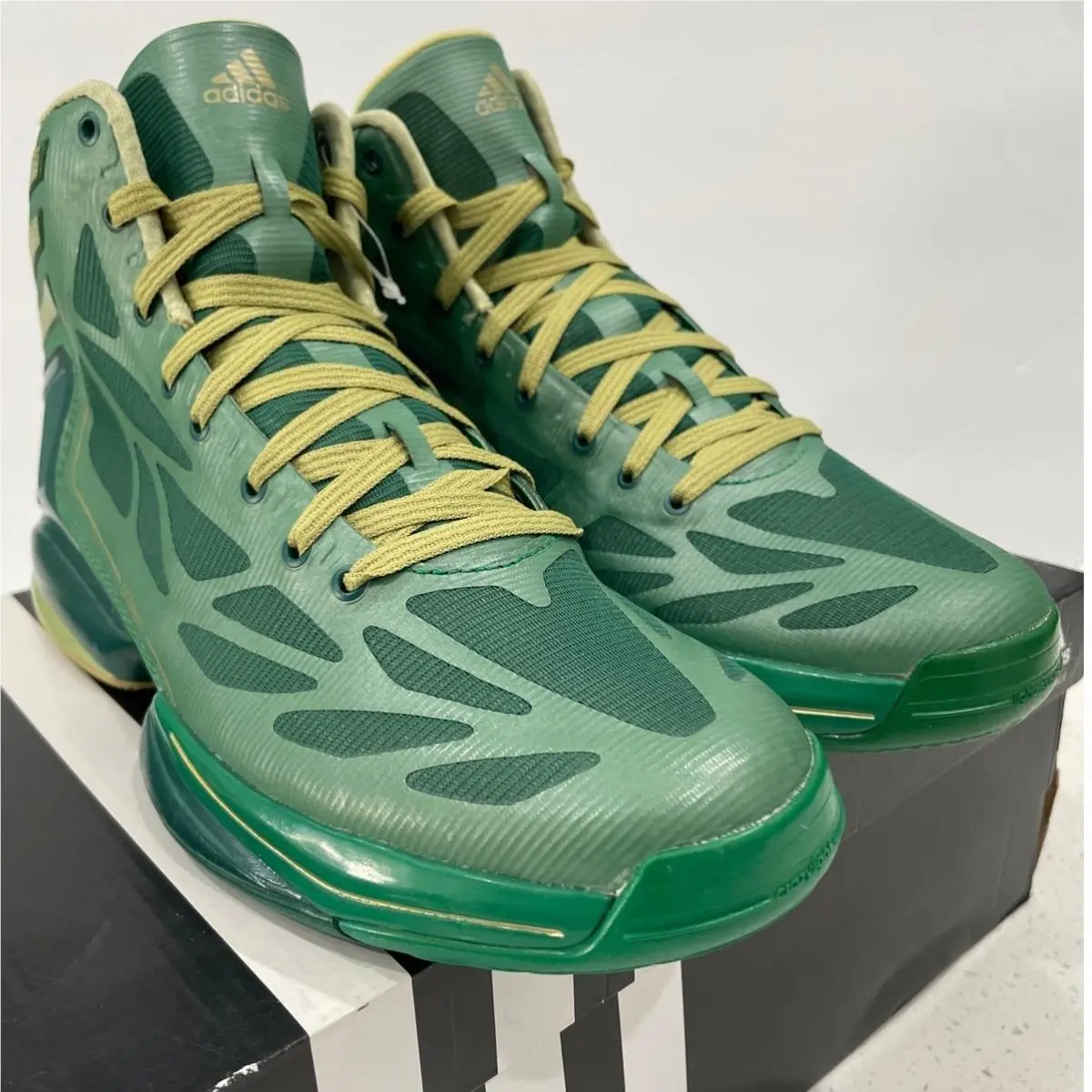 Adidas shoes - adidas adiZero Crazylight 2 - adiZero Crazylight - G65945 - Green (UPC: 886408688756) 1
