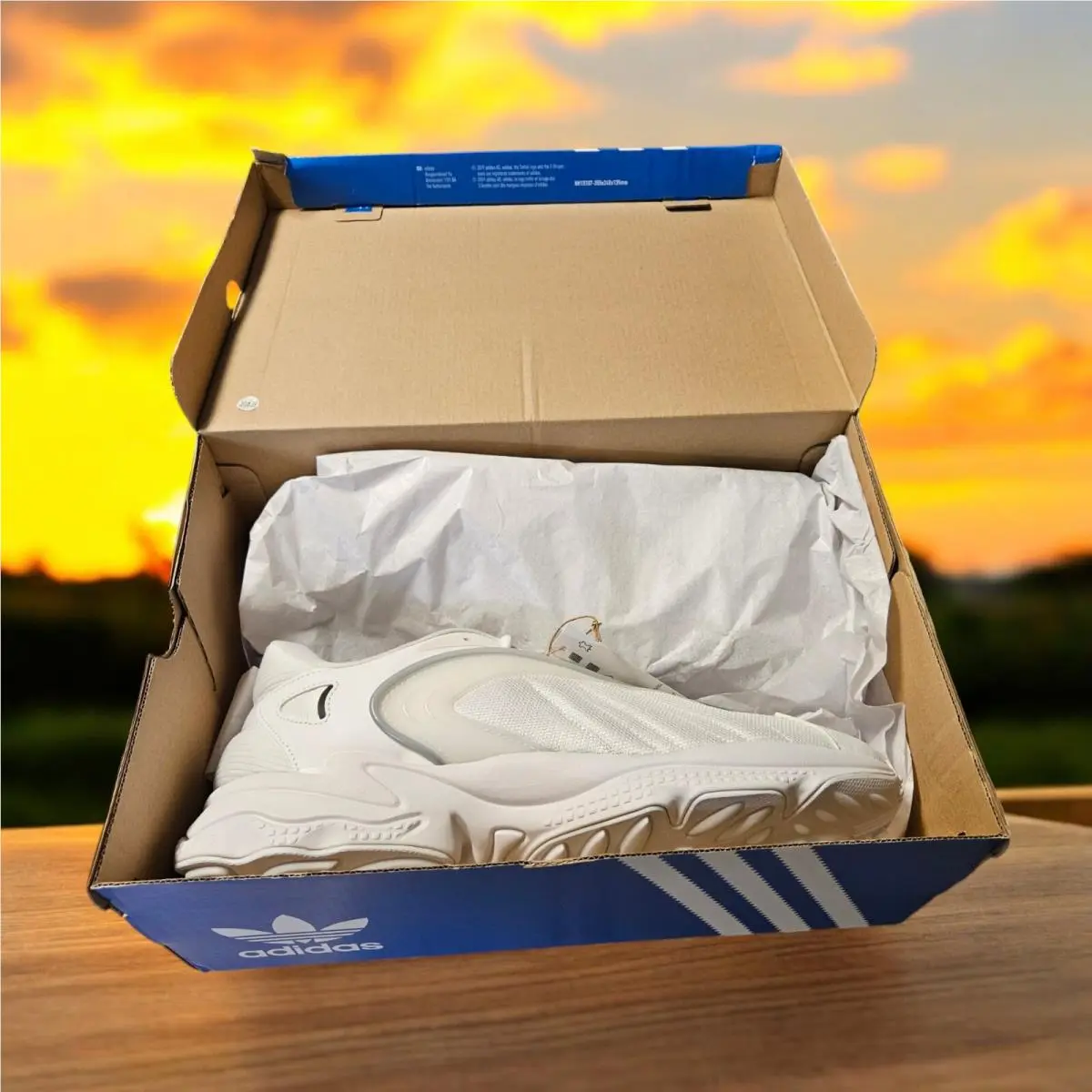Adidas shoes - Adidas Oztral - Oztral - White, Main: White (UPC: 195747783016) 7