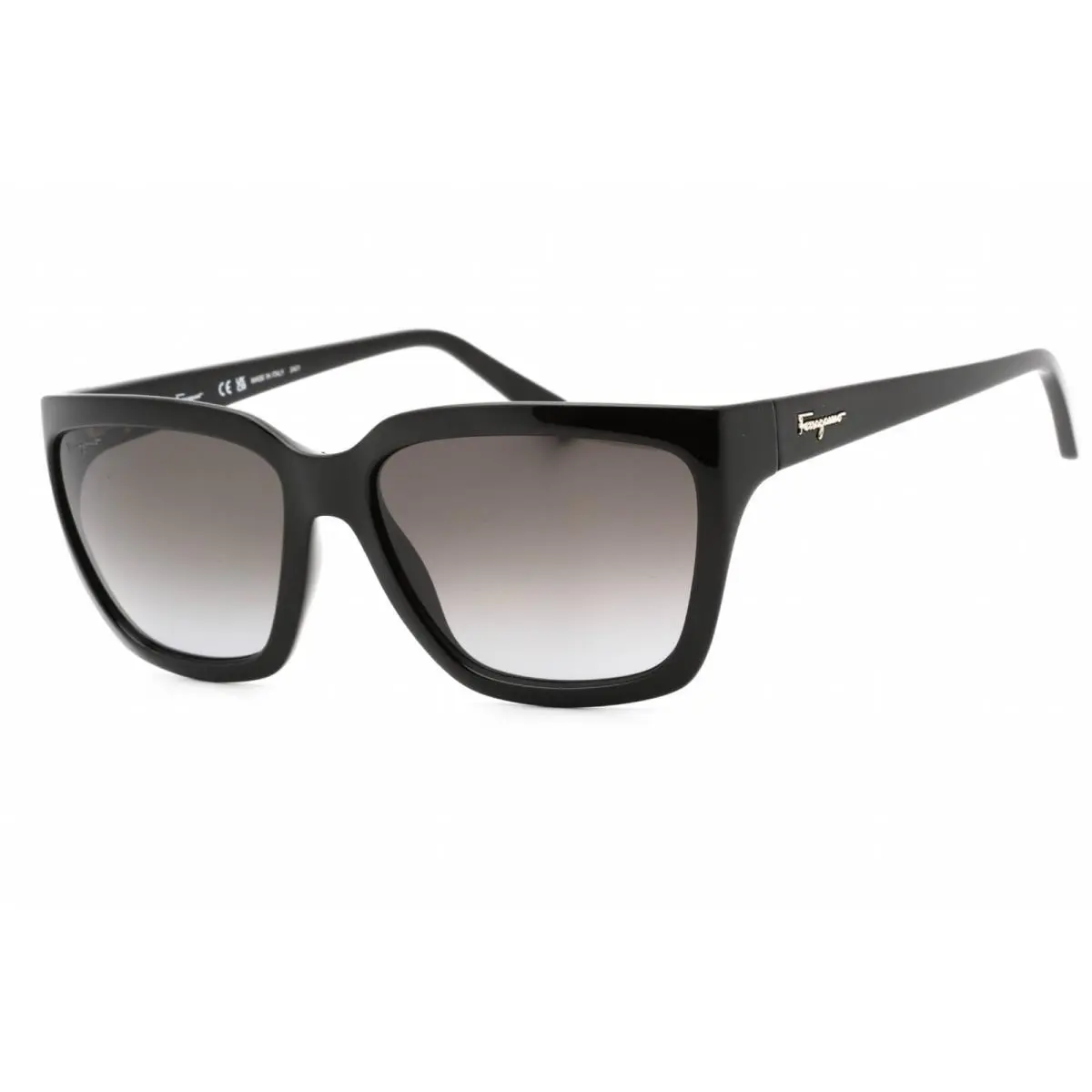 Salvatore Ferragamo Women`s Sunglasses Black Plastic Full Rim Frame SF1018S 001