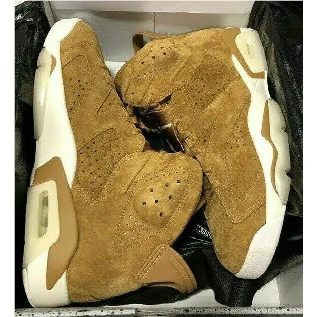 Nike shoes - Air Jordan 6 - Air - 384664-705 - Brown (UPC: 0888412311101) 0