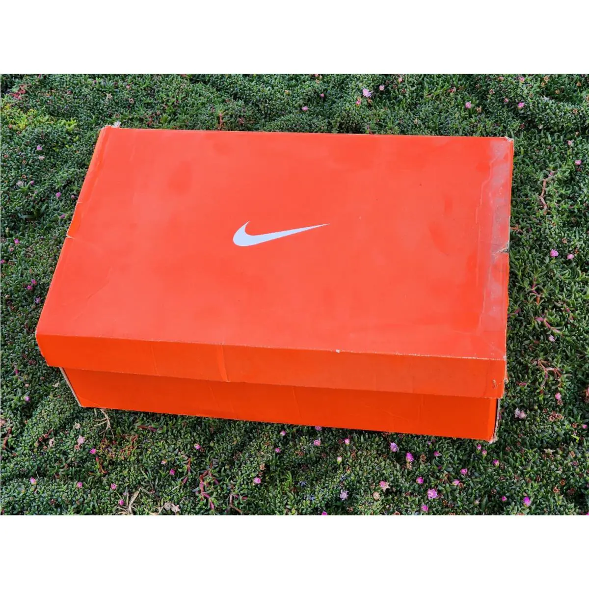 Nike shoes - Nike Air Zoom - Air Zoom - 377391-101 - White 9