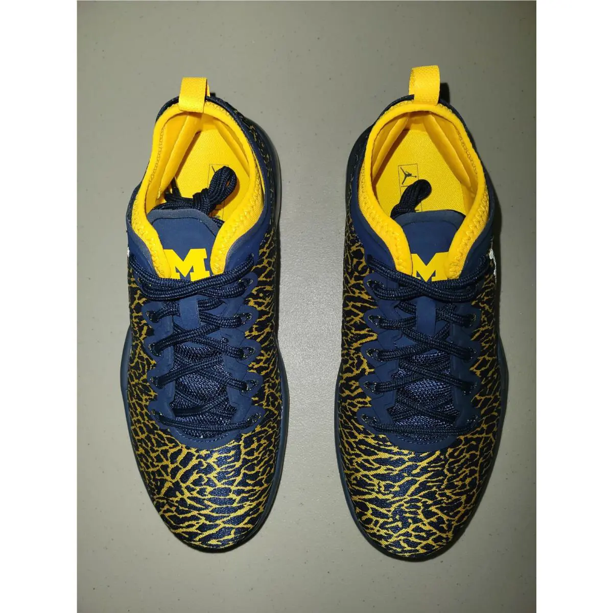 Nike shoes - Air Jordan Trainer 1 - Air Trainer - 845403420 - Blue 0