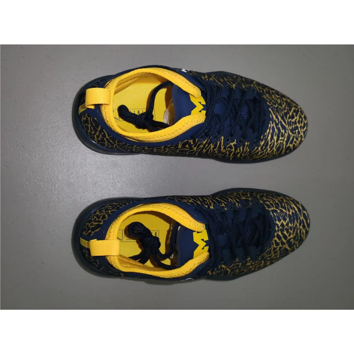 Nike shoes - Air Jordan Trainer 1 - Air Trainer - 845403420 - Blue 1