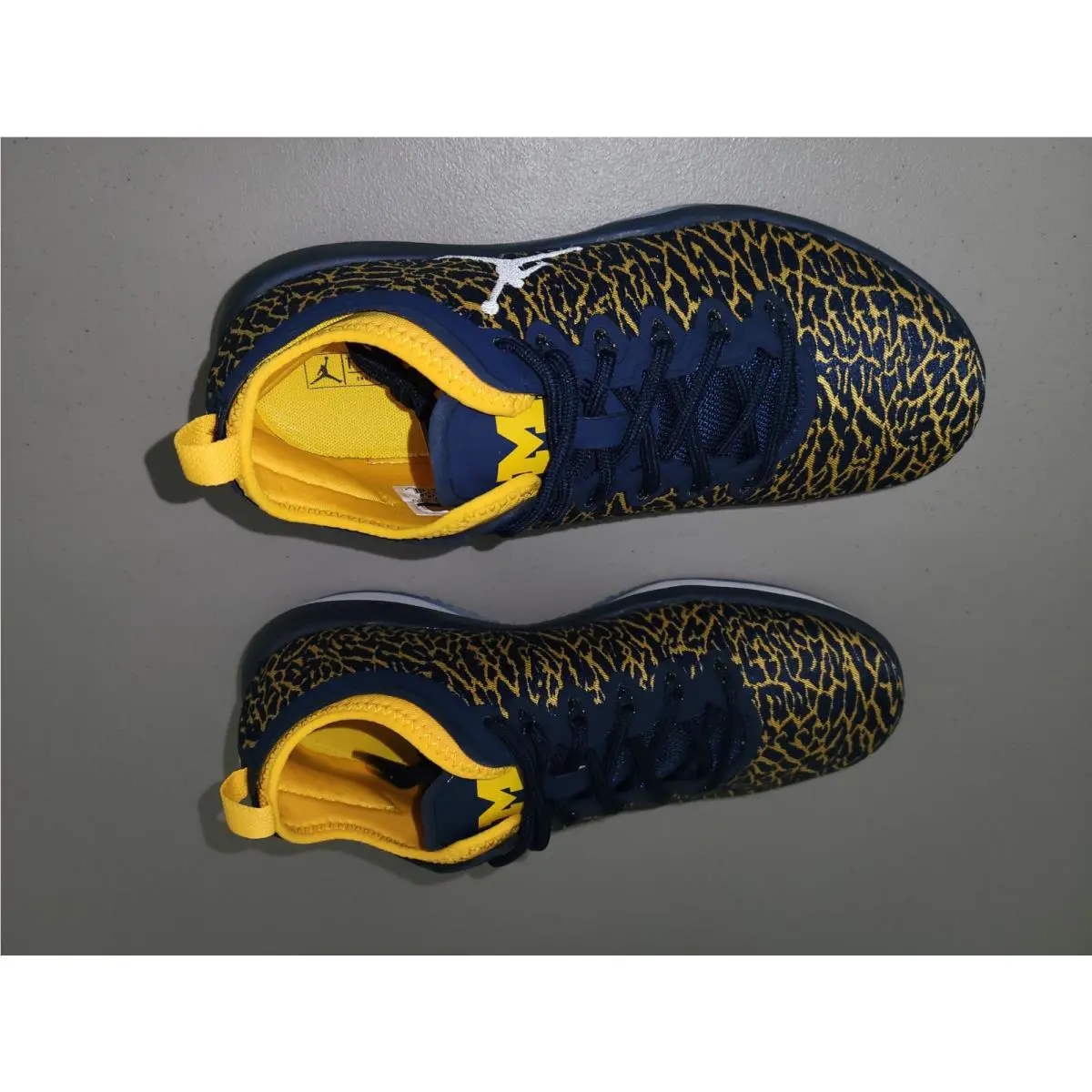 Nike shoes - Air Jordan Trainer 1 - Air Trainer - 845403420 - Blue 3