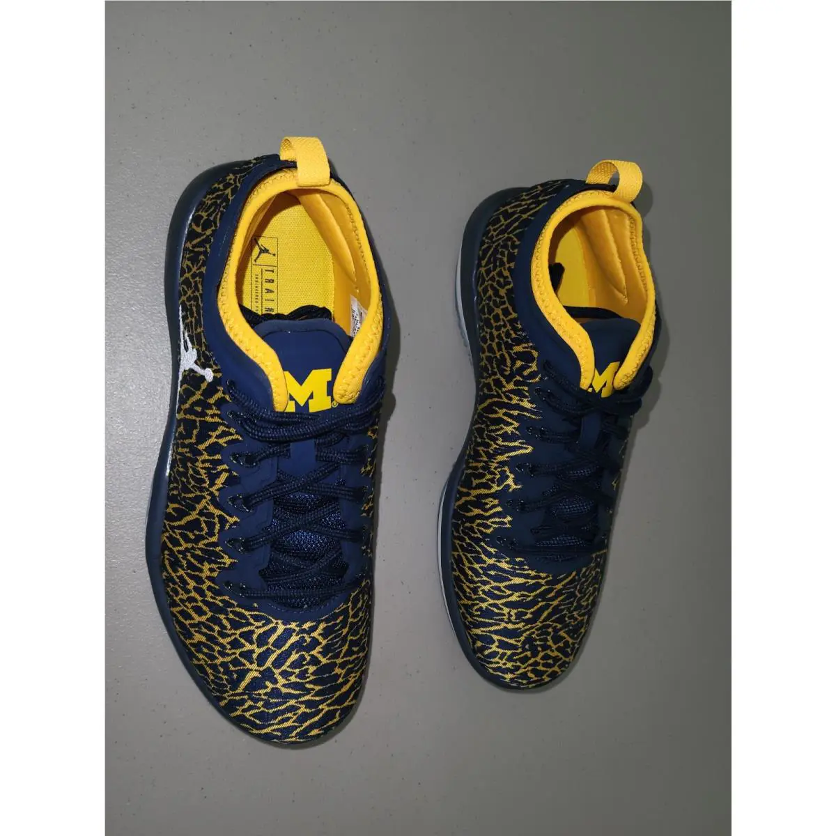 Nike shoes - Air Jordan Trainer 1 - Air Trainer - 845403420 - Blue 4