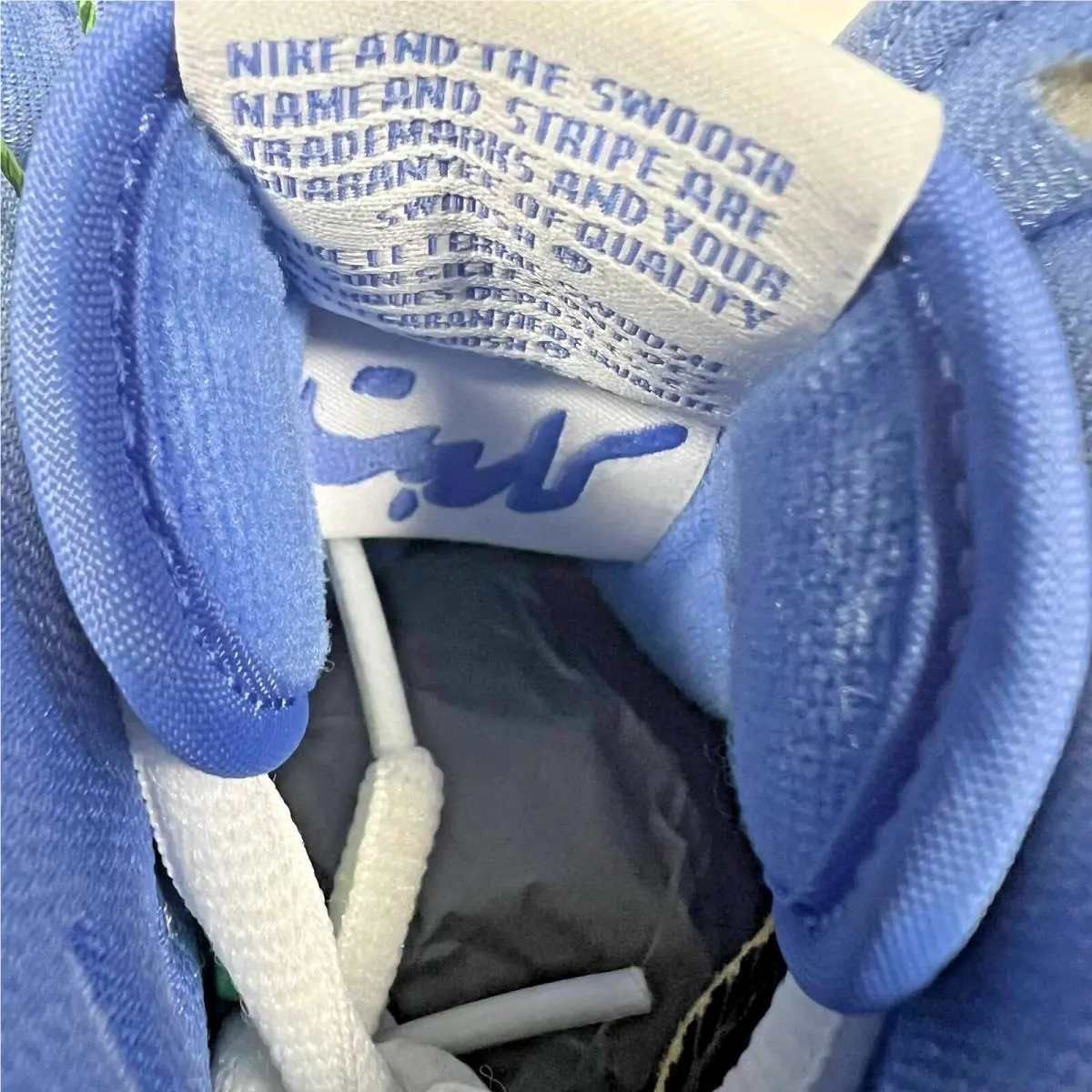 Nike shoes - Nike Dunk SB - Dunk - CV1677-100 - Blue (UPC: 0194958242671) 15