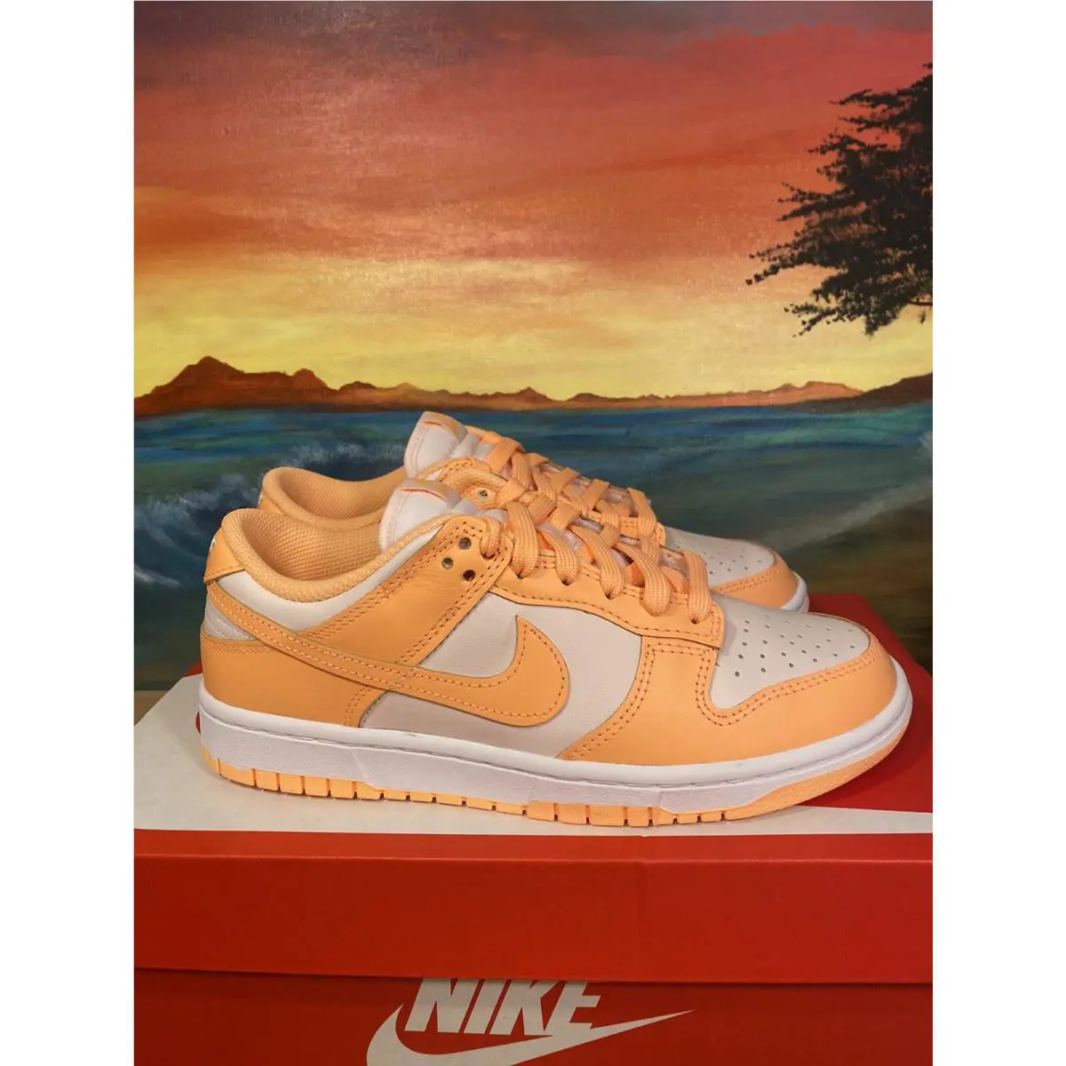 Nike shoes - Nike Dunk Low - Dunk Low - DD1503-801 - Multicolor 0
