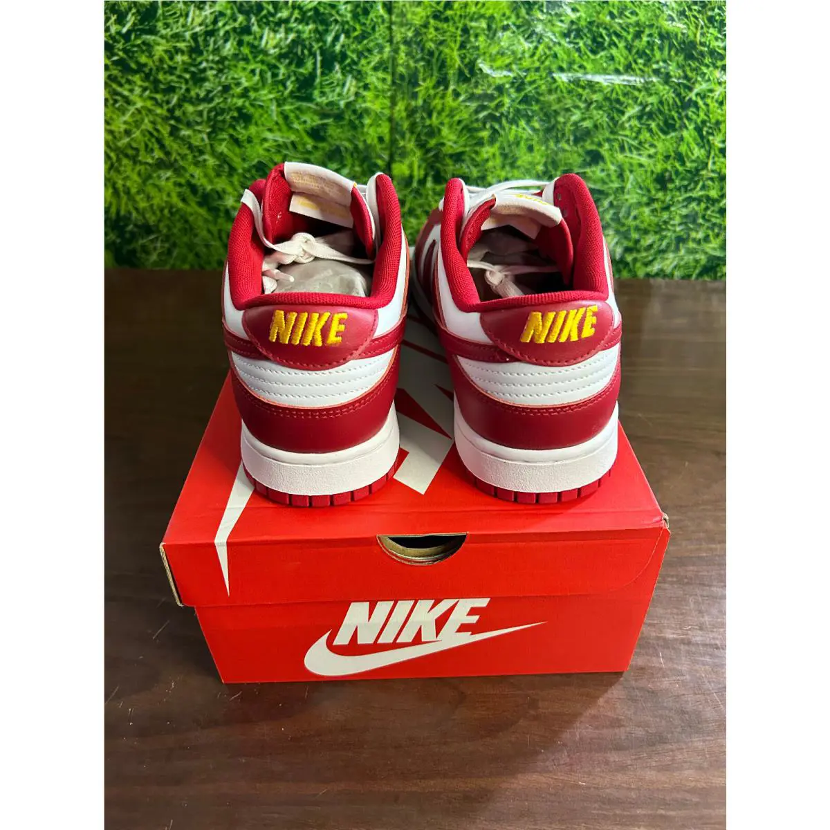 Nike shoes - Nike Dunk Retro Low - Dunk Retro Low - Red 0